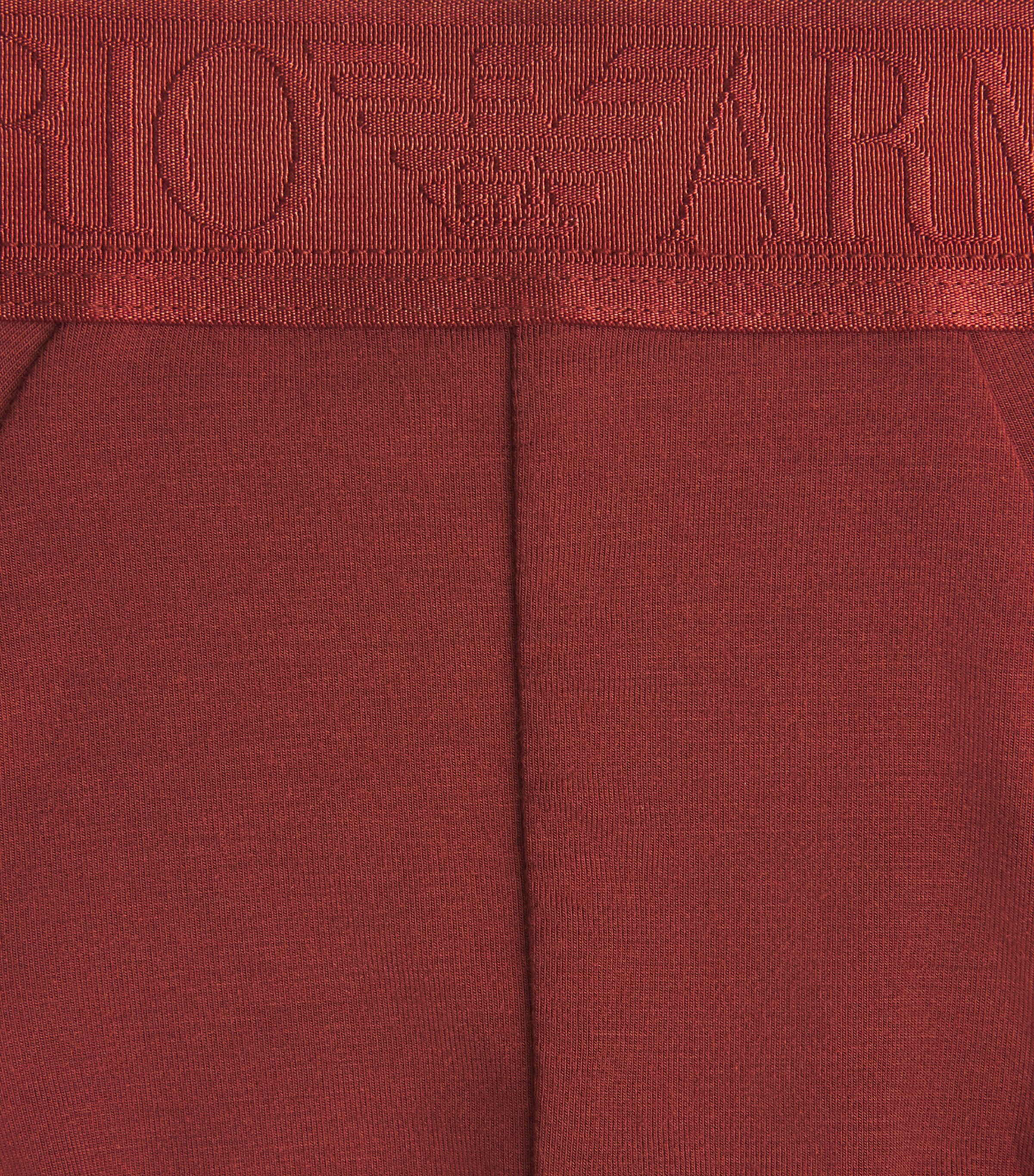 Emporio Armani Mens Modal Logo Briefs Brick Image 5