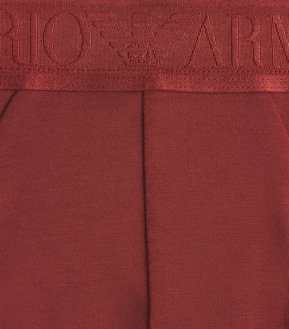 Emporio Armani Mens Modal Logo Briefs Brick Image 5