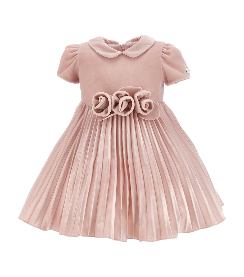 Velvet Rose Dress (3-36 Months) ROSA CHIARO Image 1
