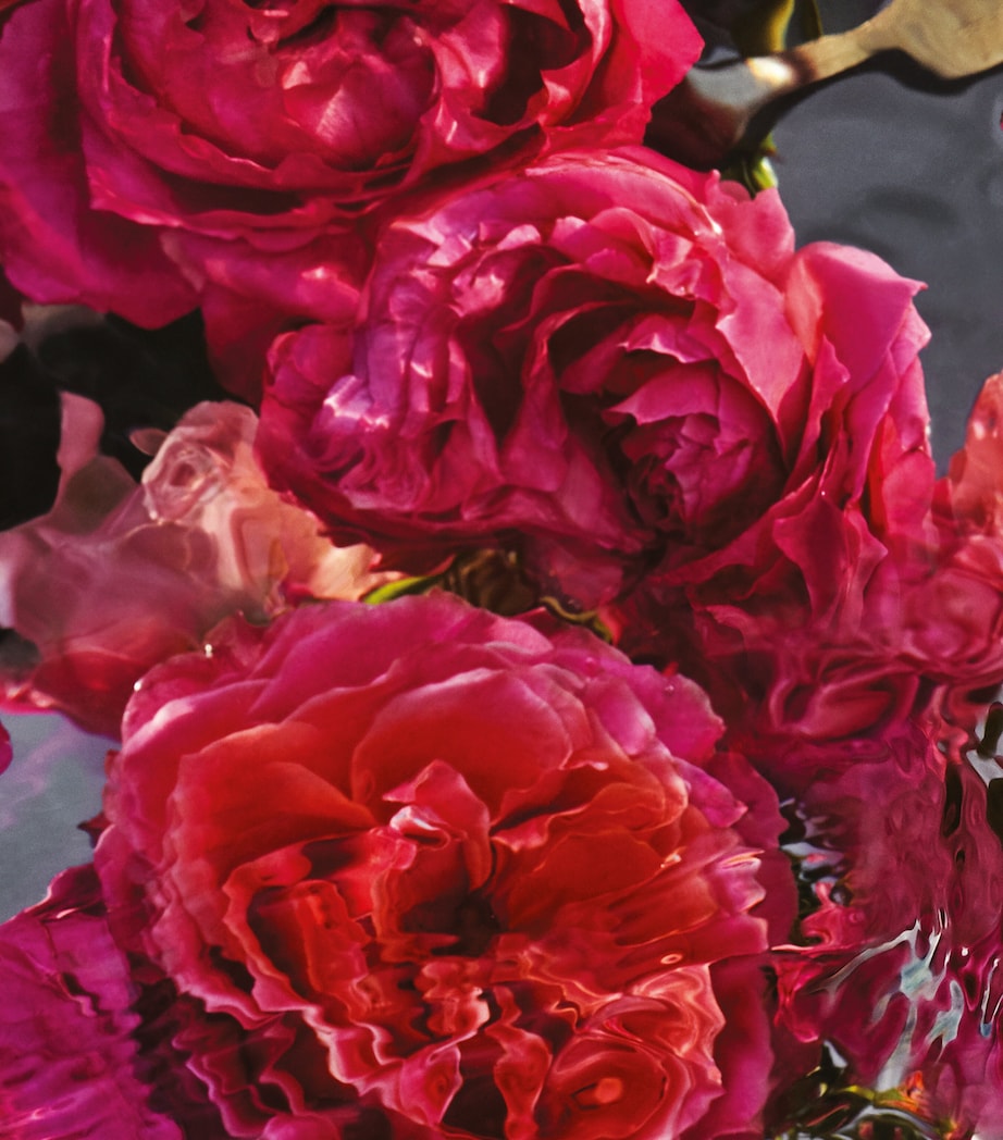 Aqua Allegoria Forte Rosa Rossa Eau de Parfum Gift Set NO COLOUR Image 4