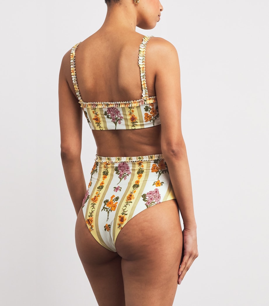 Embroidered Nopal Cordillera Bikini Briefs MULTICOLOR Image 3