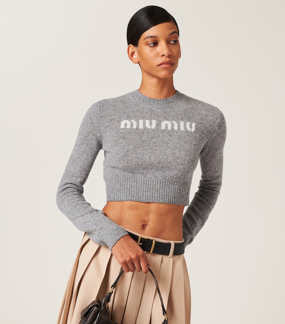 Cashmere Logo Sweater F0031 Image 2