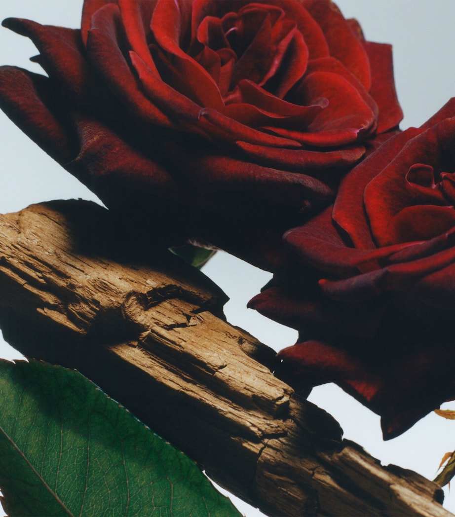 Velvet Rose & Oud All Over Body Spray (125ml) NO COLOUR Image 3