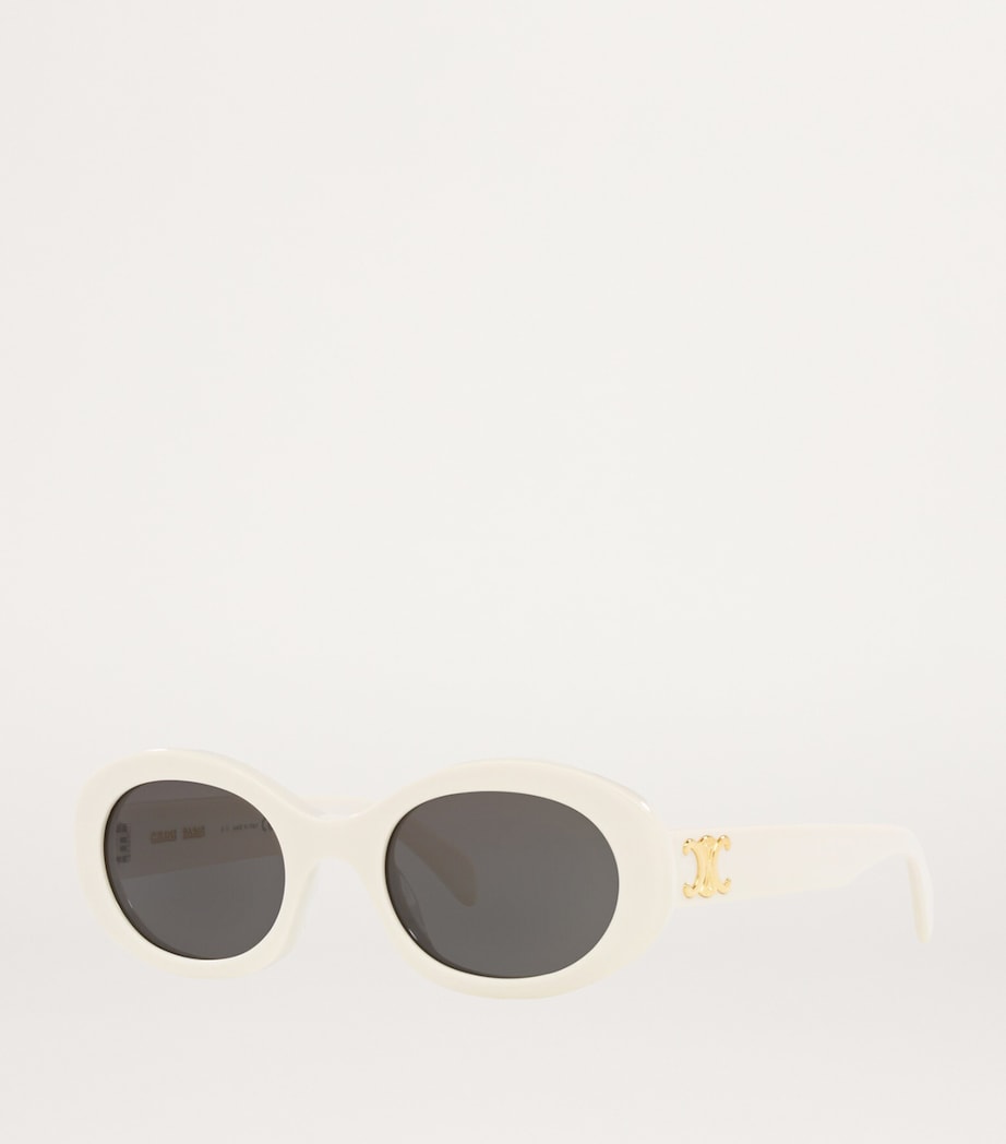 Celine Acetate 0CL000312 Sunglasses Image 3