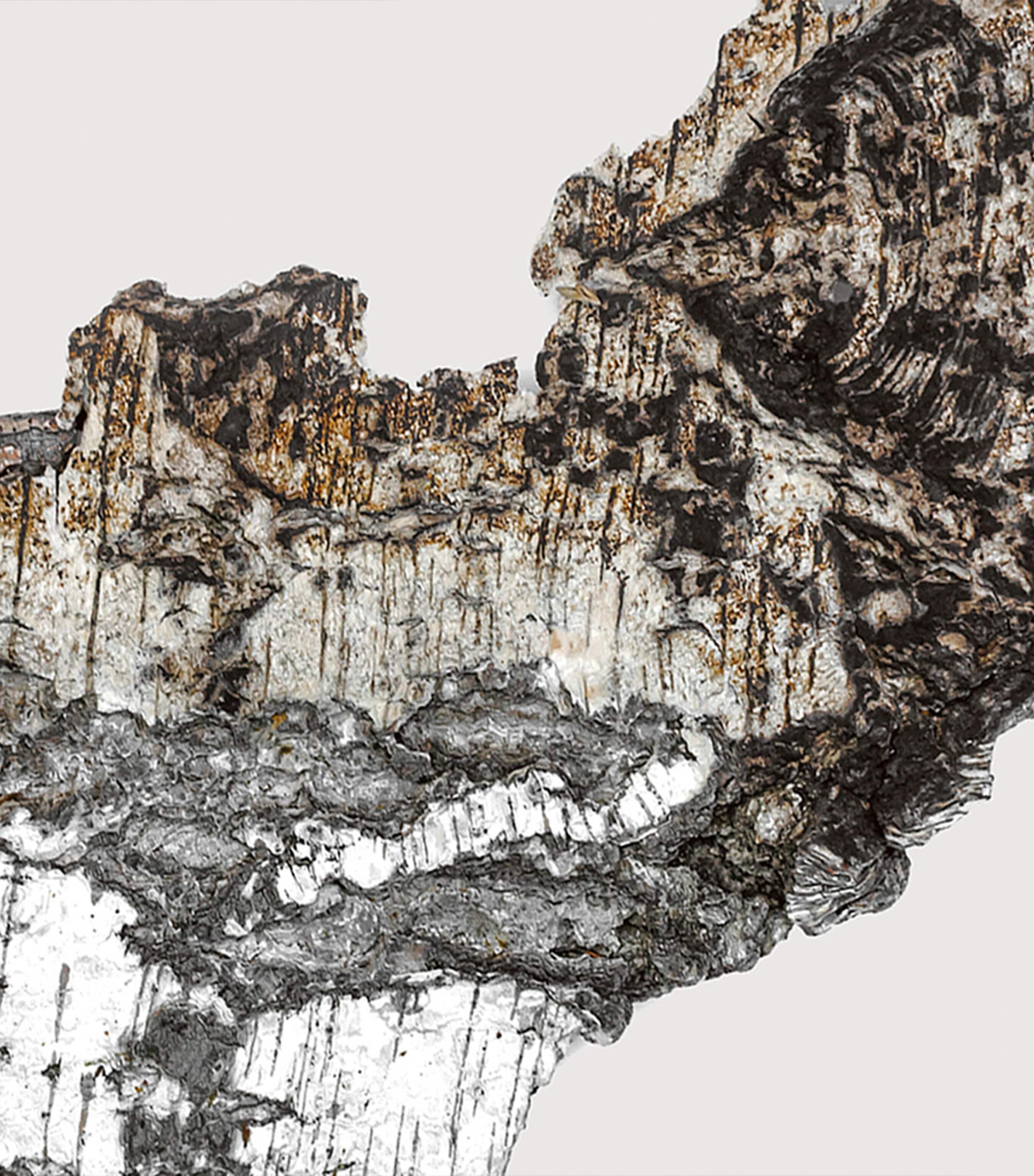 Falcon Leather Extrait de Parfum (100ml) NO COLOUR Image 4