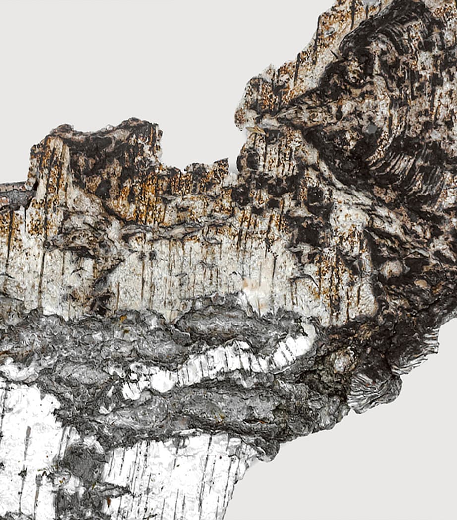 Falcon Leather Extrait de Parfum (100ml) NO COLOUR Image 4