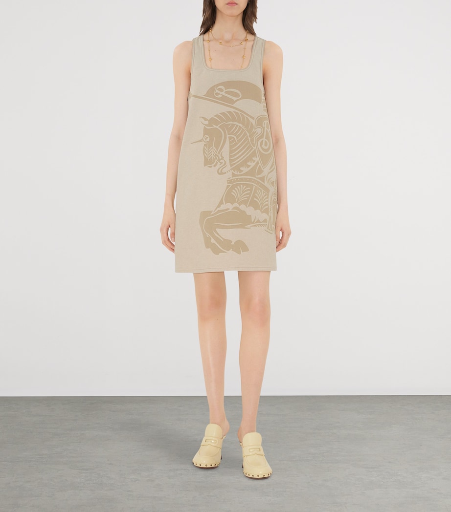 Denim EKD Mini Dress RUBBLE Image 2