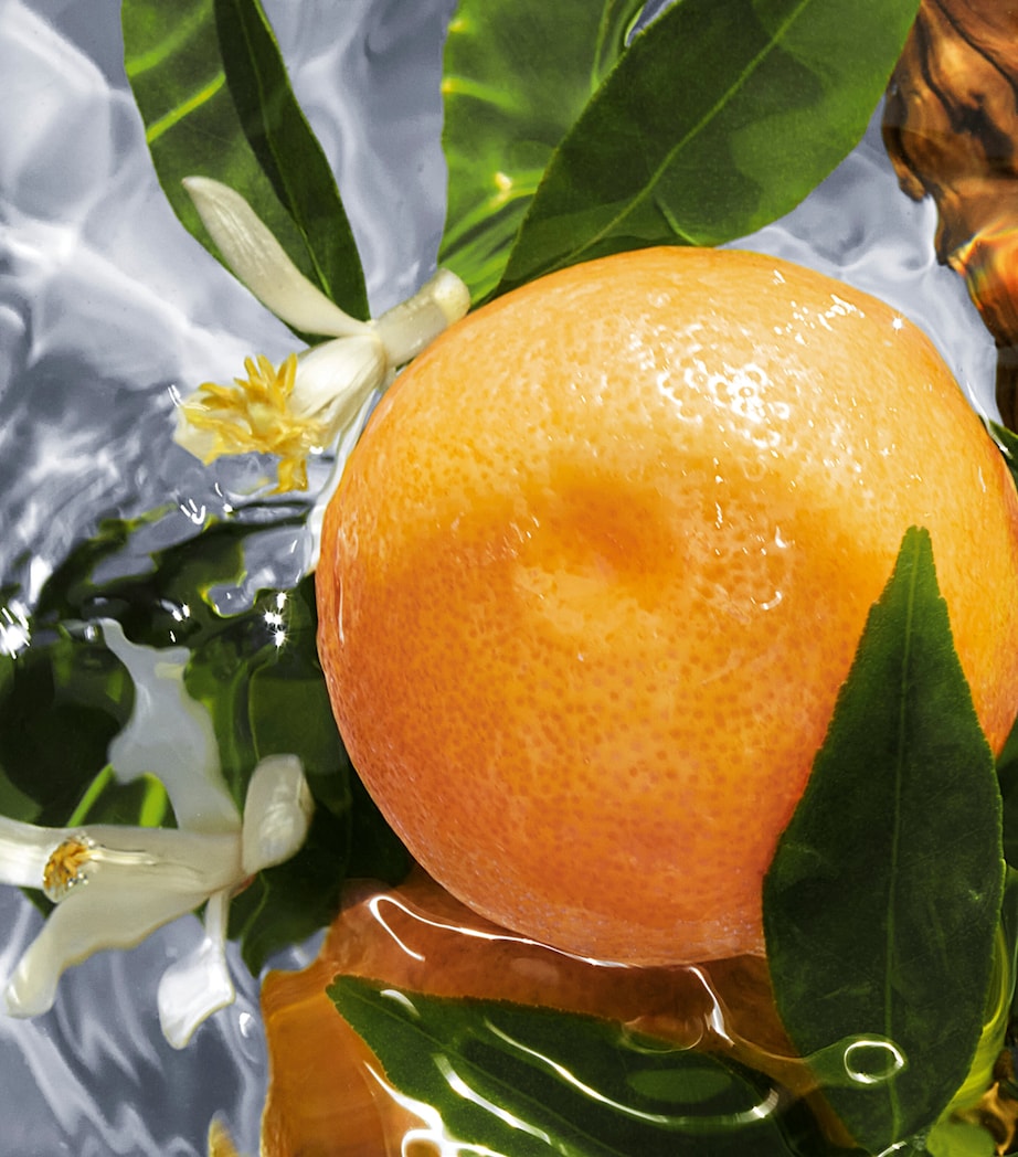 Aqua Allegoria Pamplelune Eau de Toilette (75ml) NO COLOUR Image 5