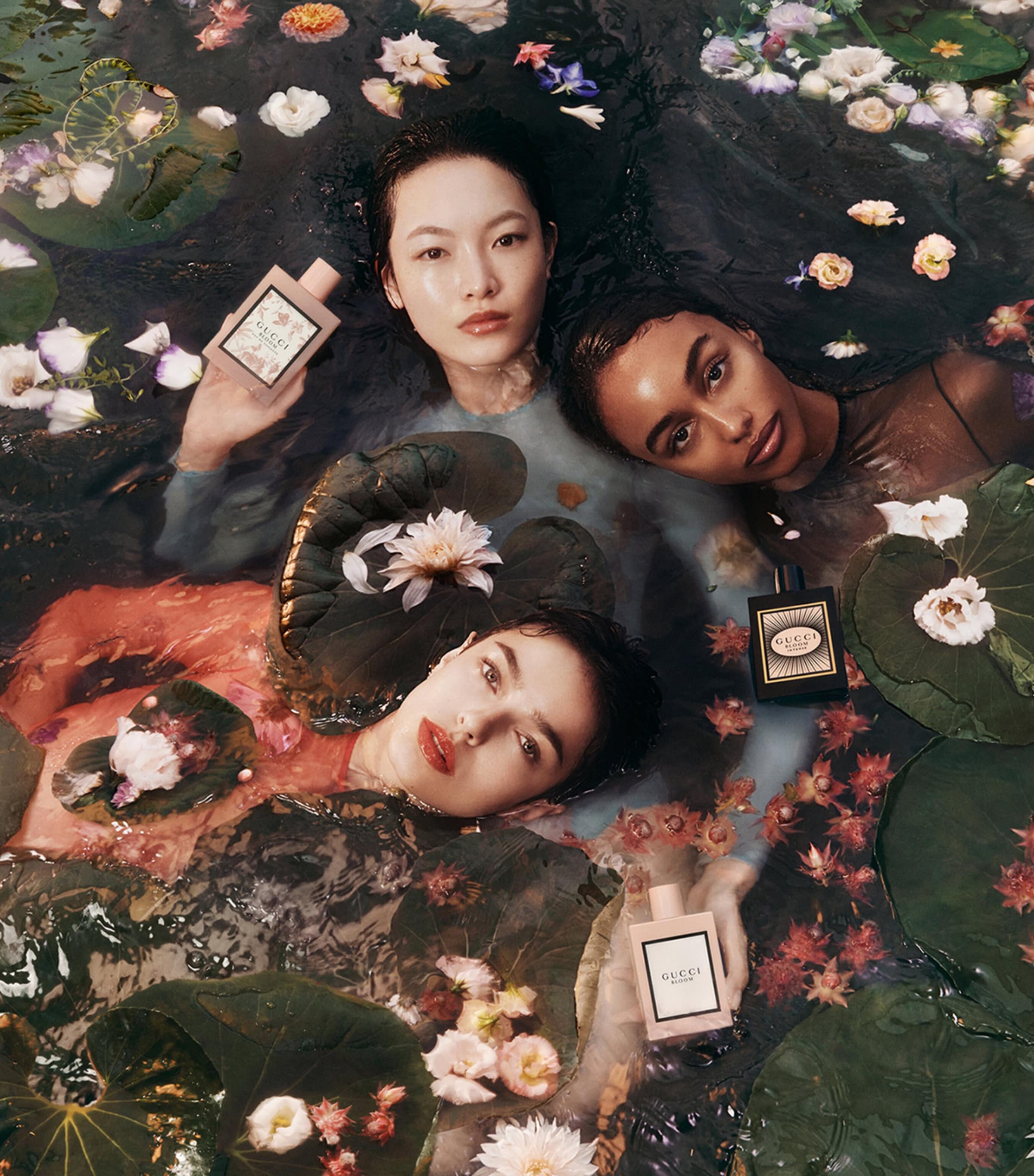 GUCCI BLOOM 50ml フラワーデザイン付き Amazon.com : Gucci Bloom for