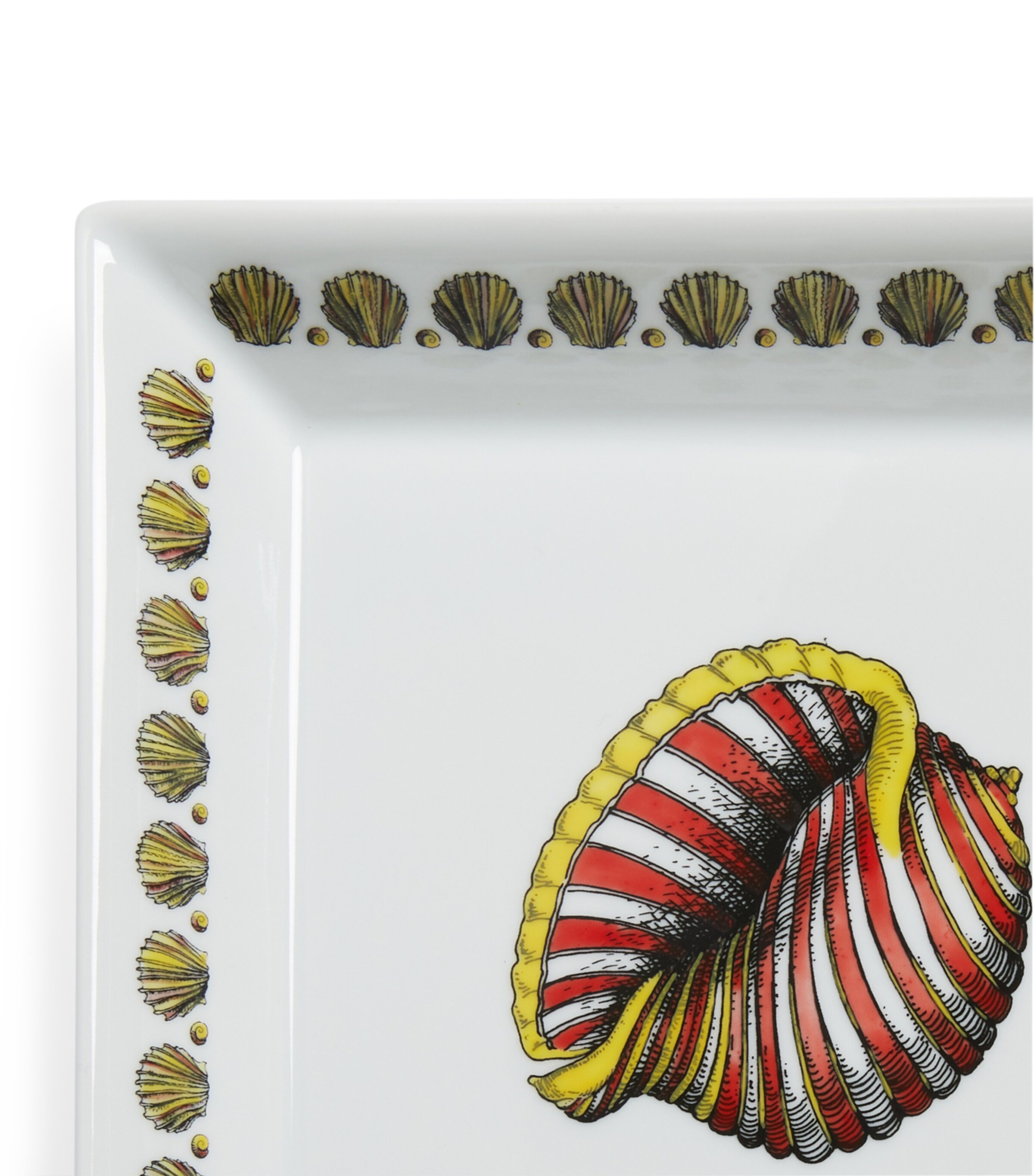 Square Giro di Conchiglie Plate (20cm x 20cm) MULTI Image 4