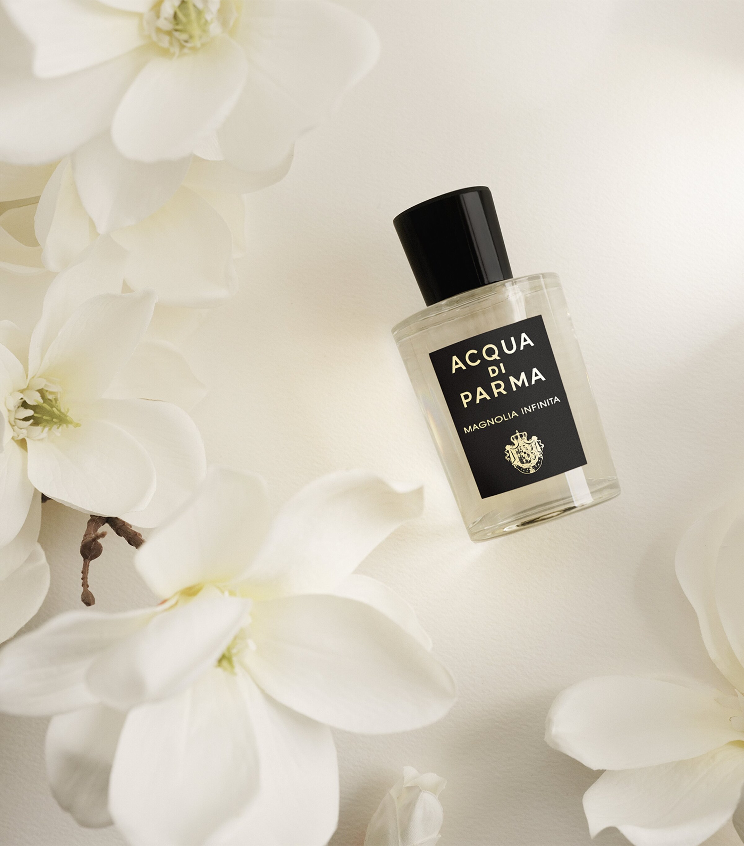 Signatures of the Sun Magnolia Infinita Eau de Parfum (180ml) NO COLOUR Image 4