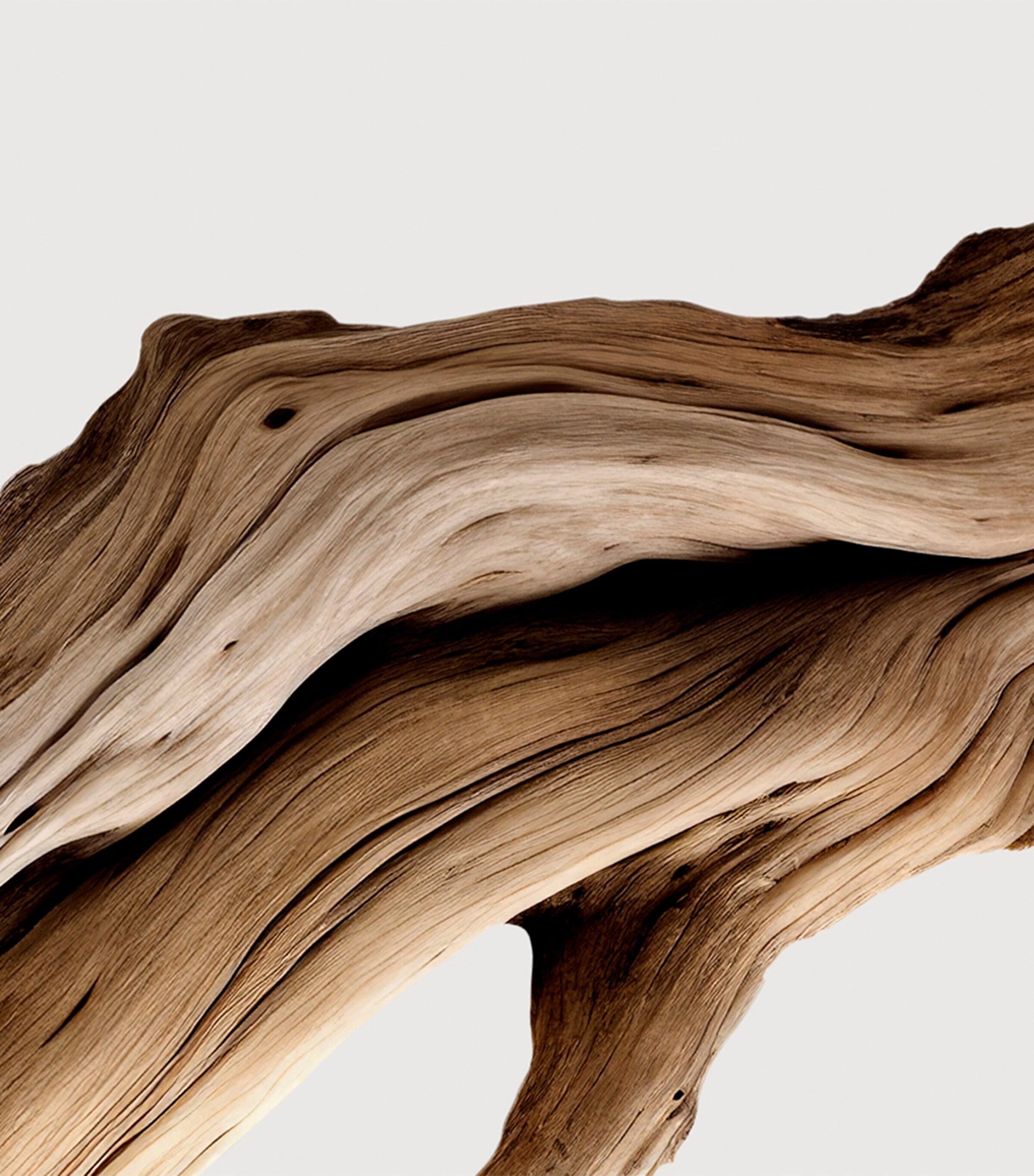 Santal Austral Extrait de Parfum (100ml) NO COLOUR Image 4