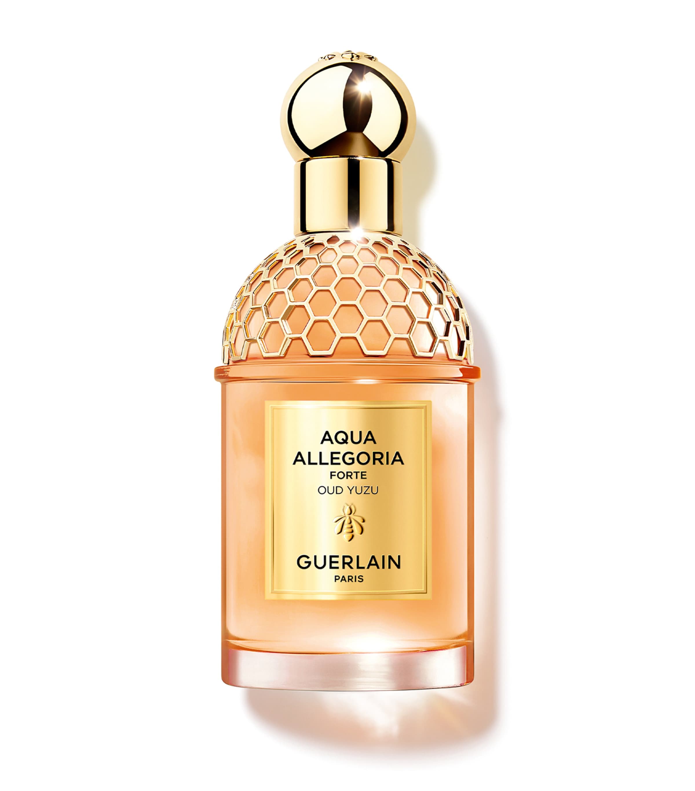 Guerlain Aqua Allegoria Forte Oud Yuzu Eau de Parfum (75ml) Image 1