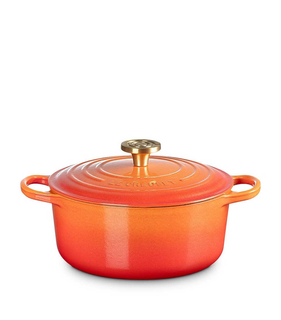 Cast Iron Flamme Dorée Round Casserole Dish (24cm) ORANGE Image 11