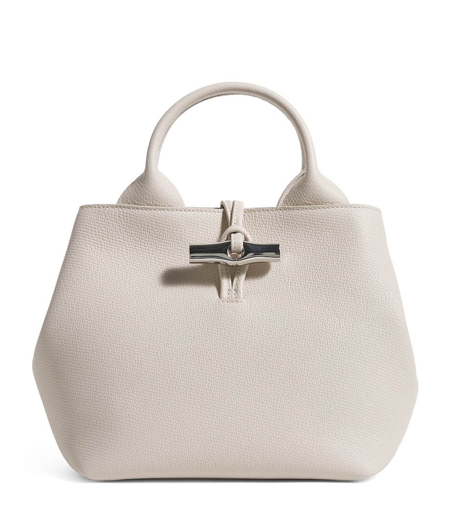 Small Leather Le Roseau Top-Handle Bag 555 PAPER Image 1