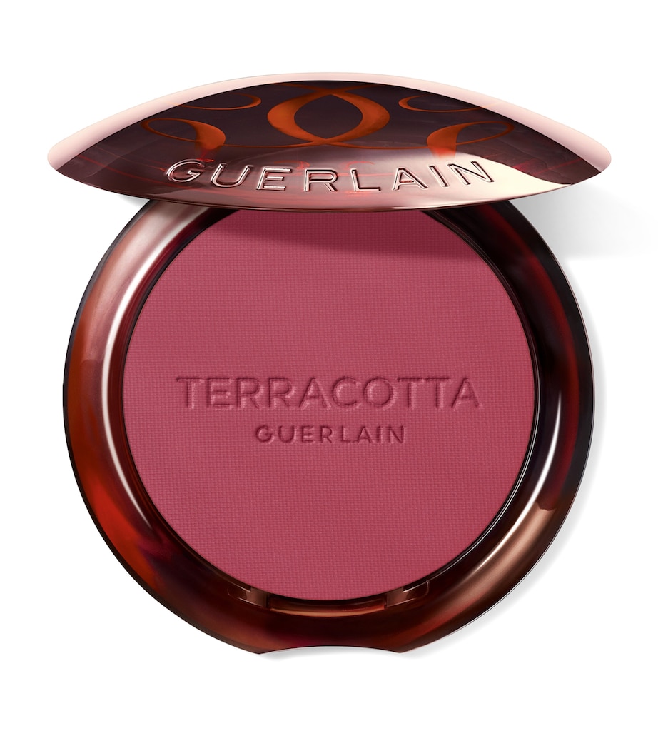 Terracotta Blush 4 Image 1