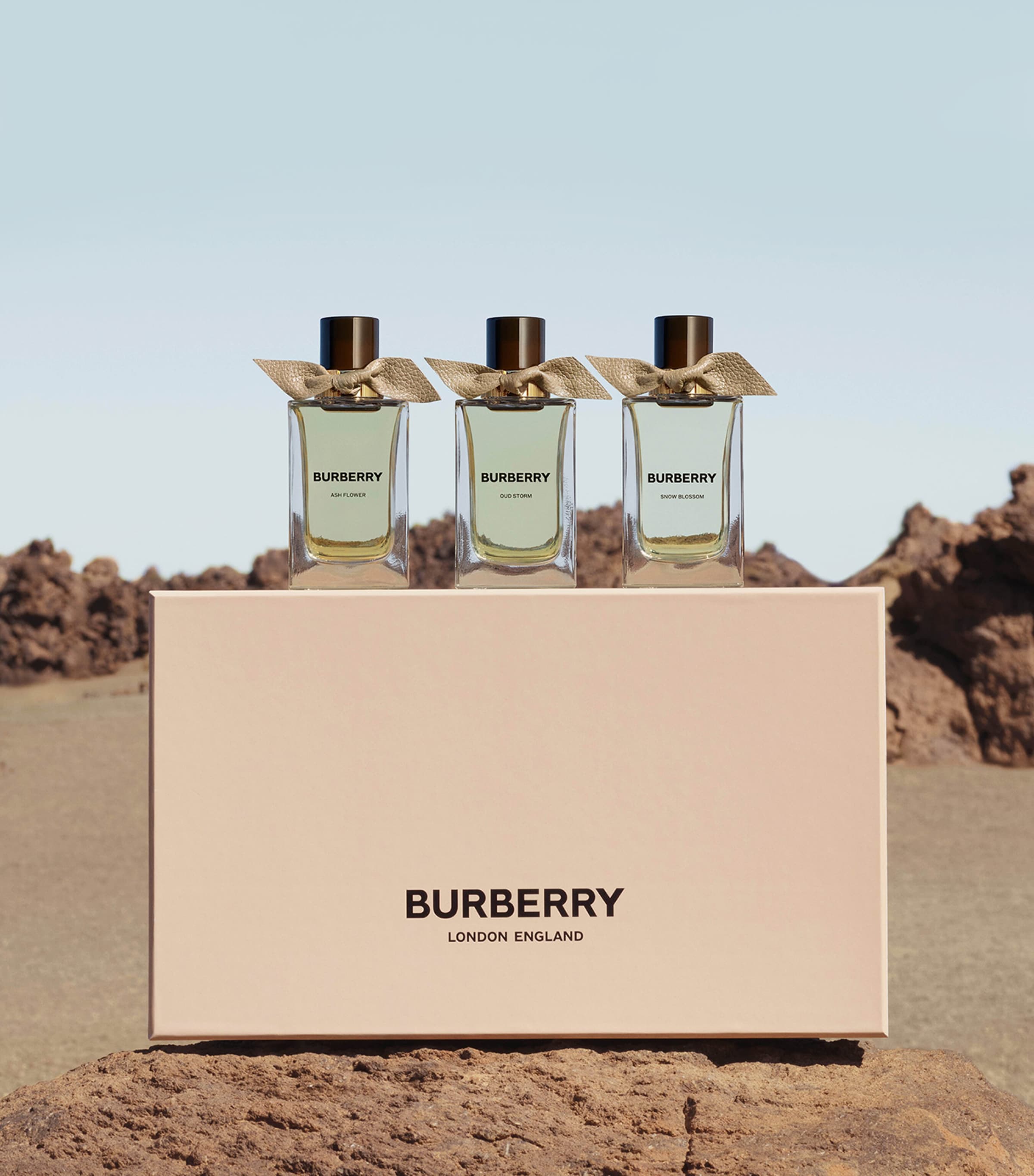 BURBURRY バーバリー スノー ブロッサム EDP 100ML Burberry Classic Edp For Women - 100ml : Burberry: Amazon.sg