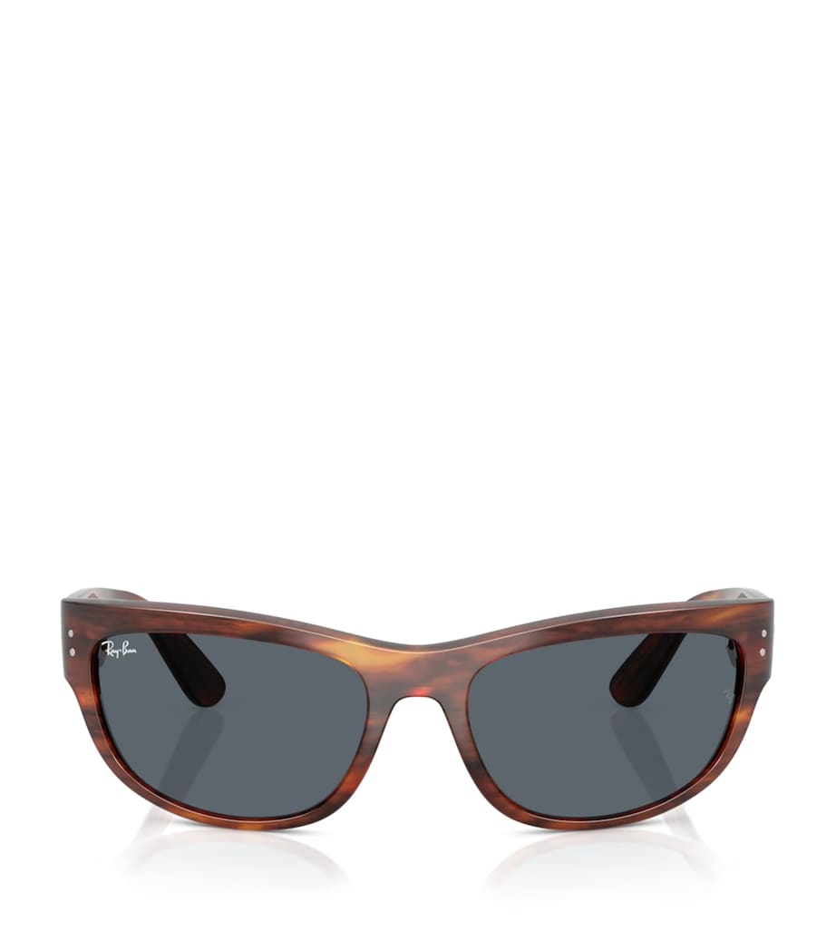 RB2289 Mega Balorama Sunglasses 954/R5 Image 1
