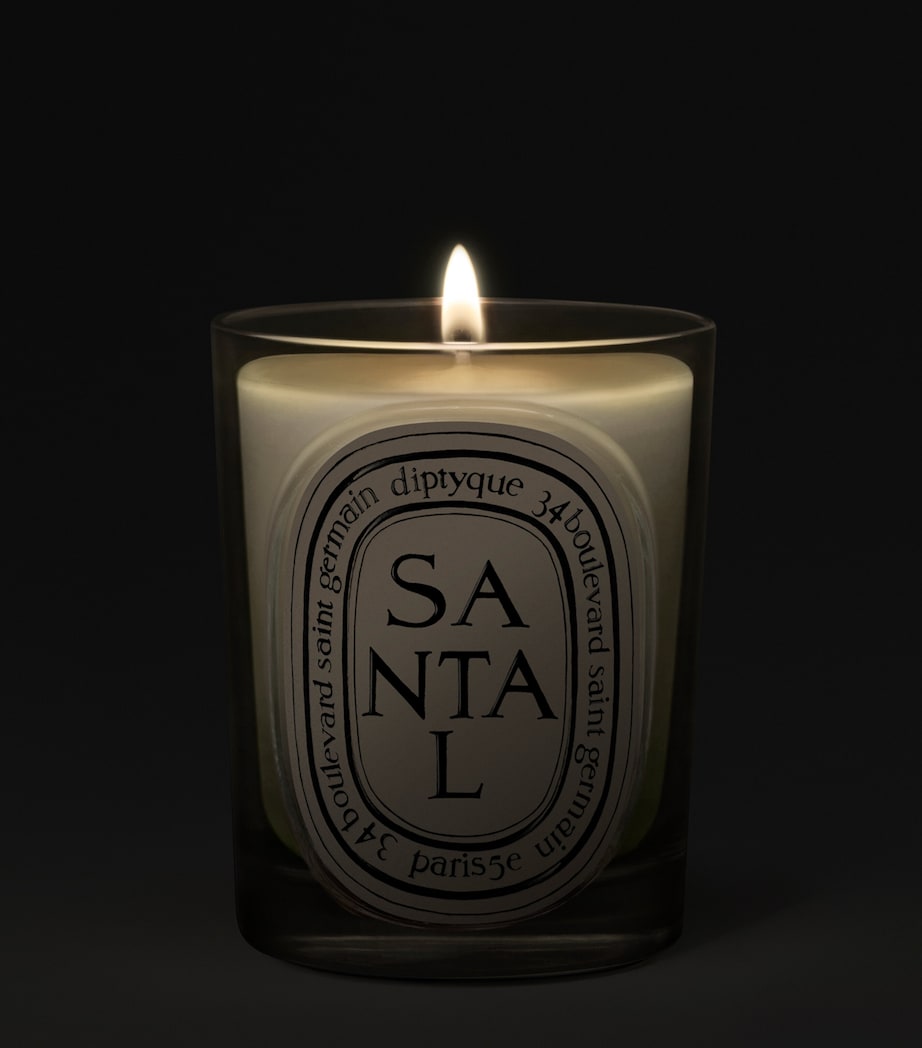 Diptyque Santal Candle (190g) Image 2