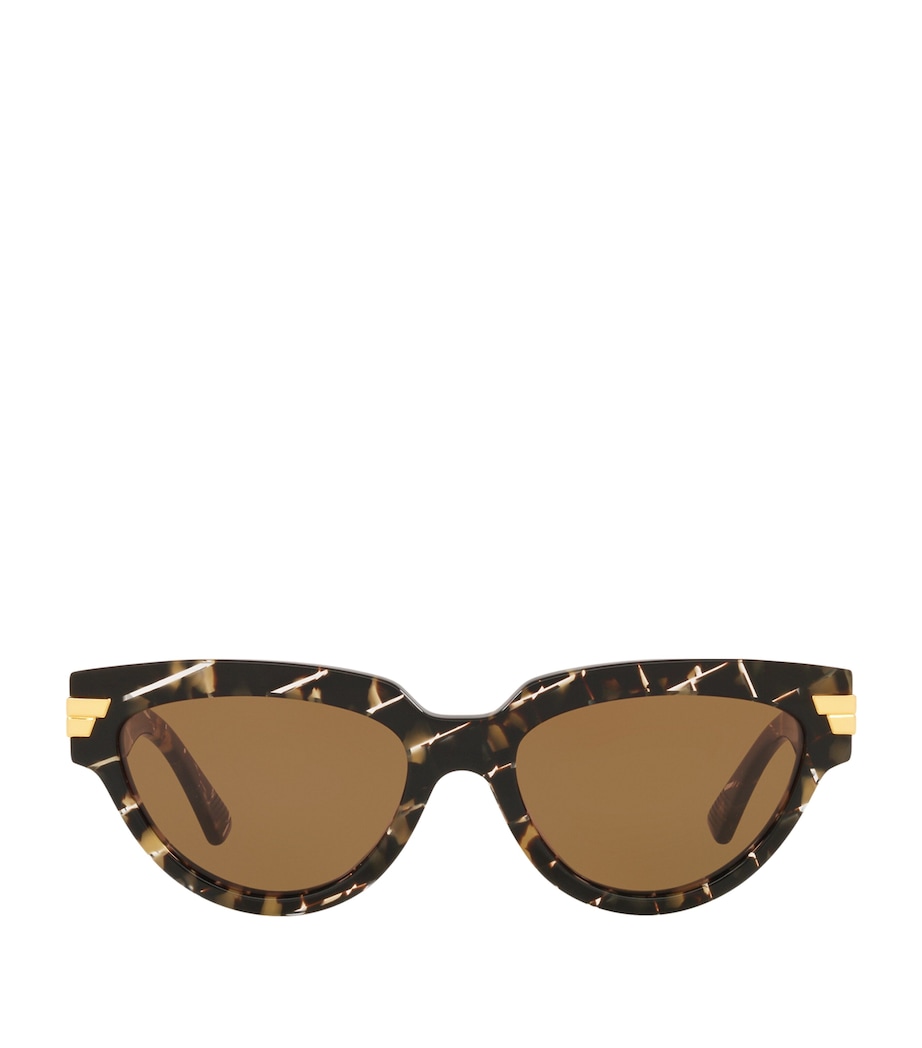 Round Sunglasses 4402D1 Image 1