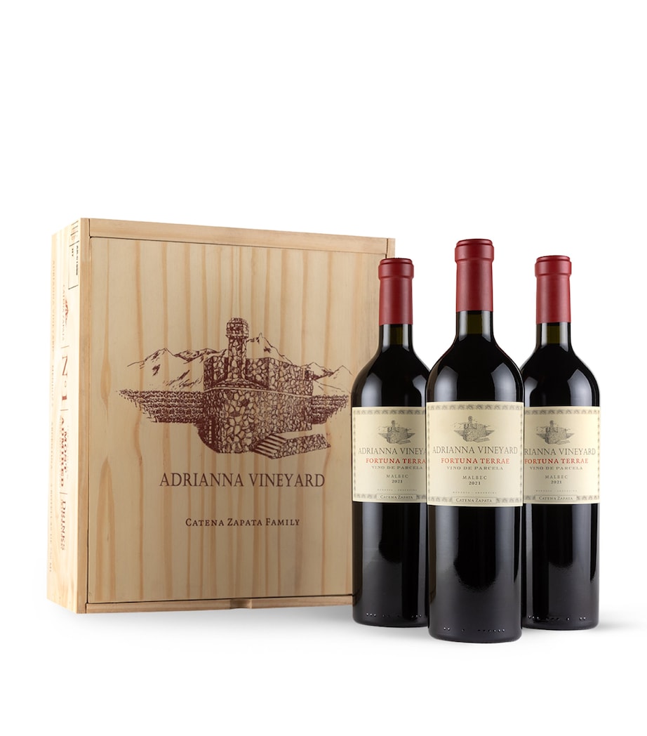 Catena Adrianna Vineyard Fortuna Terrae Malbec 2021 (75cl) – Mendoza, Argentina Image 2