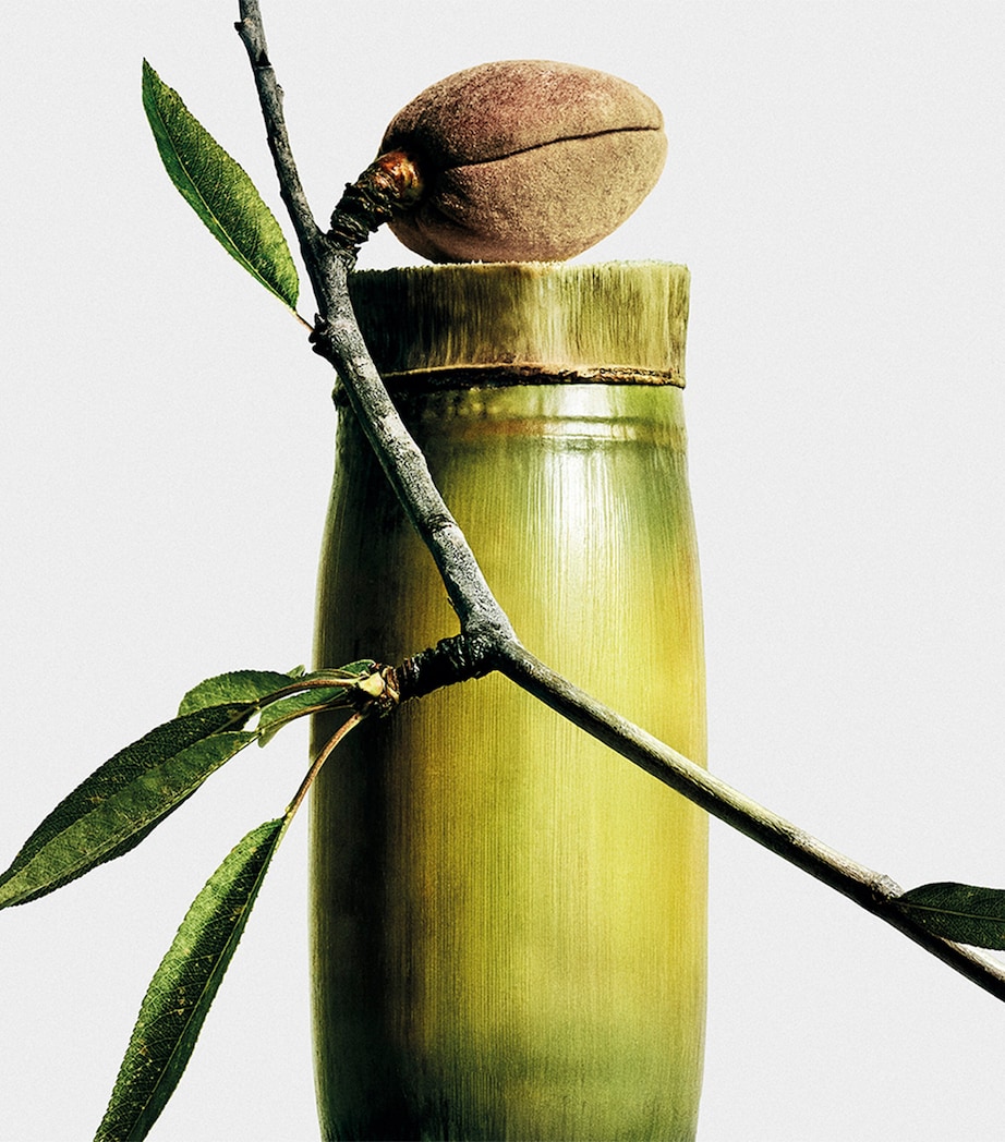 Sweet Almond Scented Candle NO COLOUR Image 3