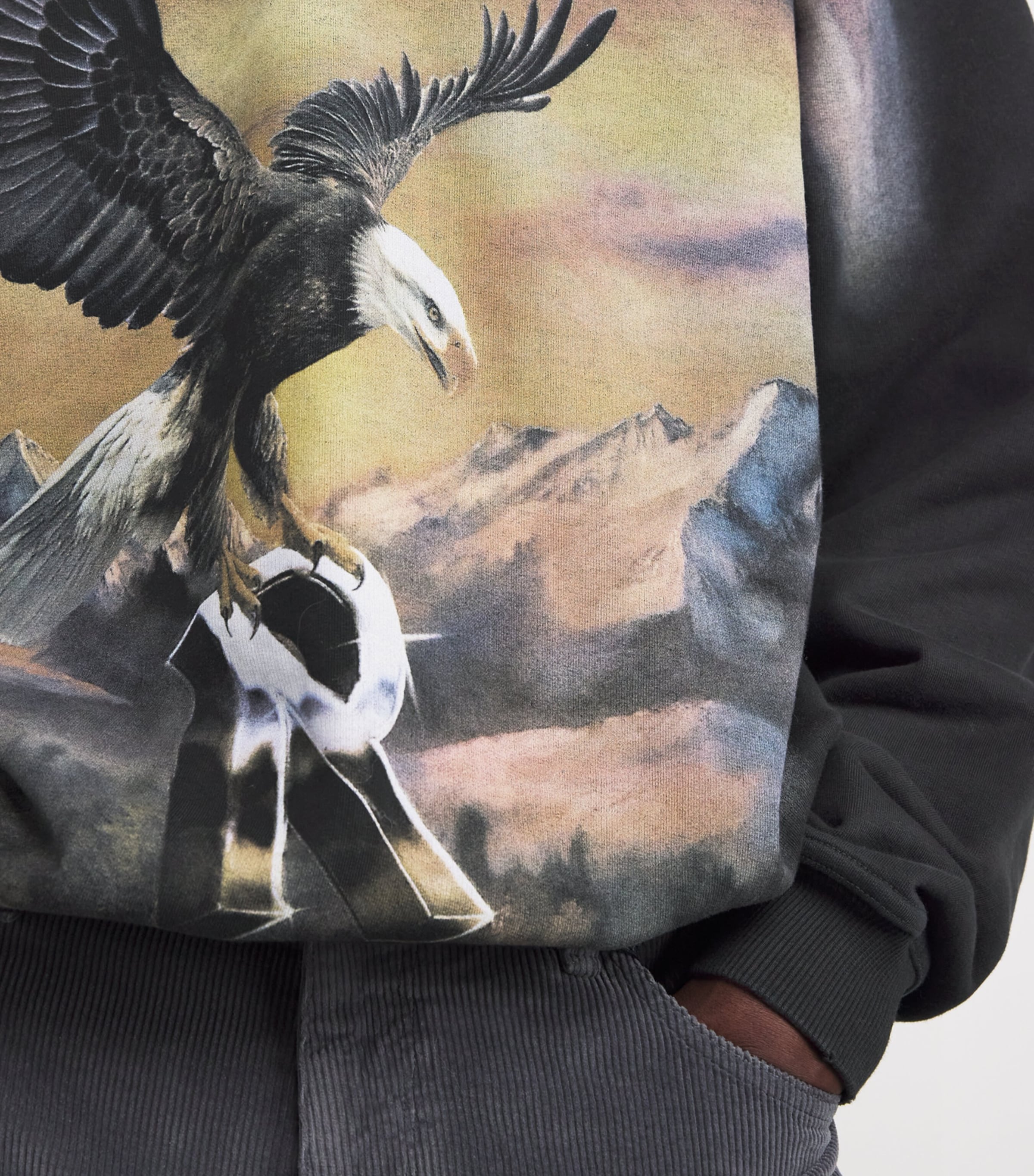 Cotton Eagle Hoodie STAINED BLACK Image 6