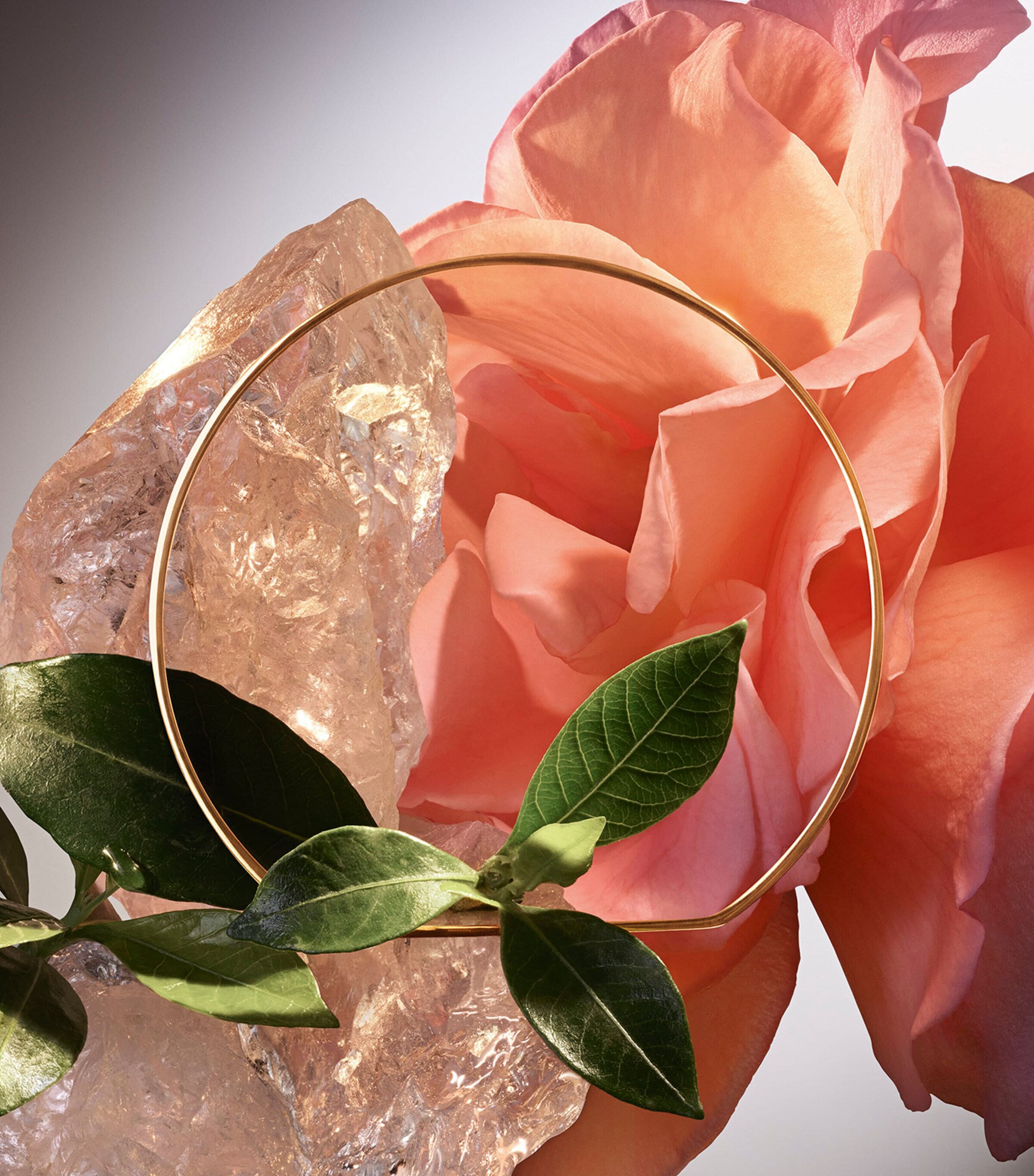 Absolue Le Parfum Eau de Parfum (100ml) NO COLOUR Image 4