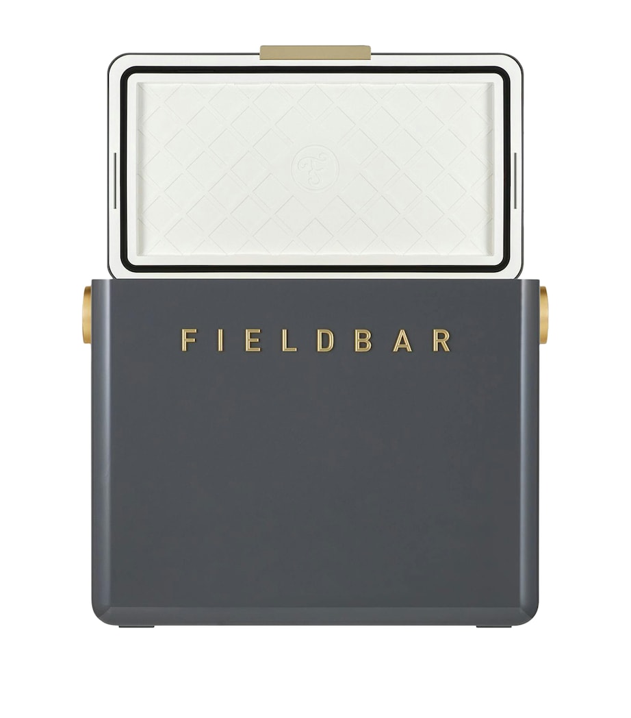 Fieldbar Gin Trunk Cooler Box Oyster Grey Image 3