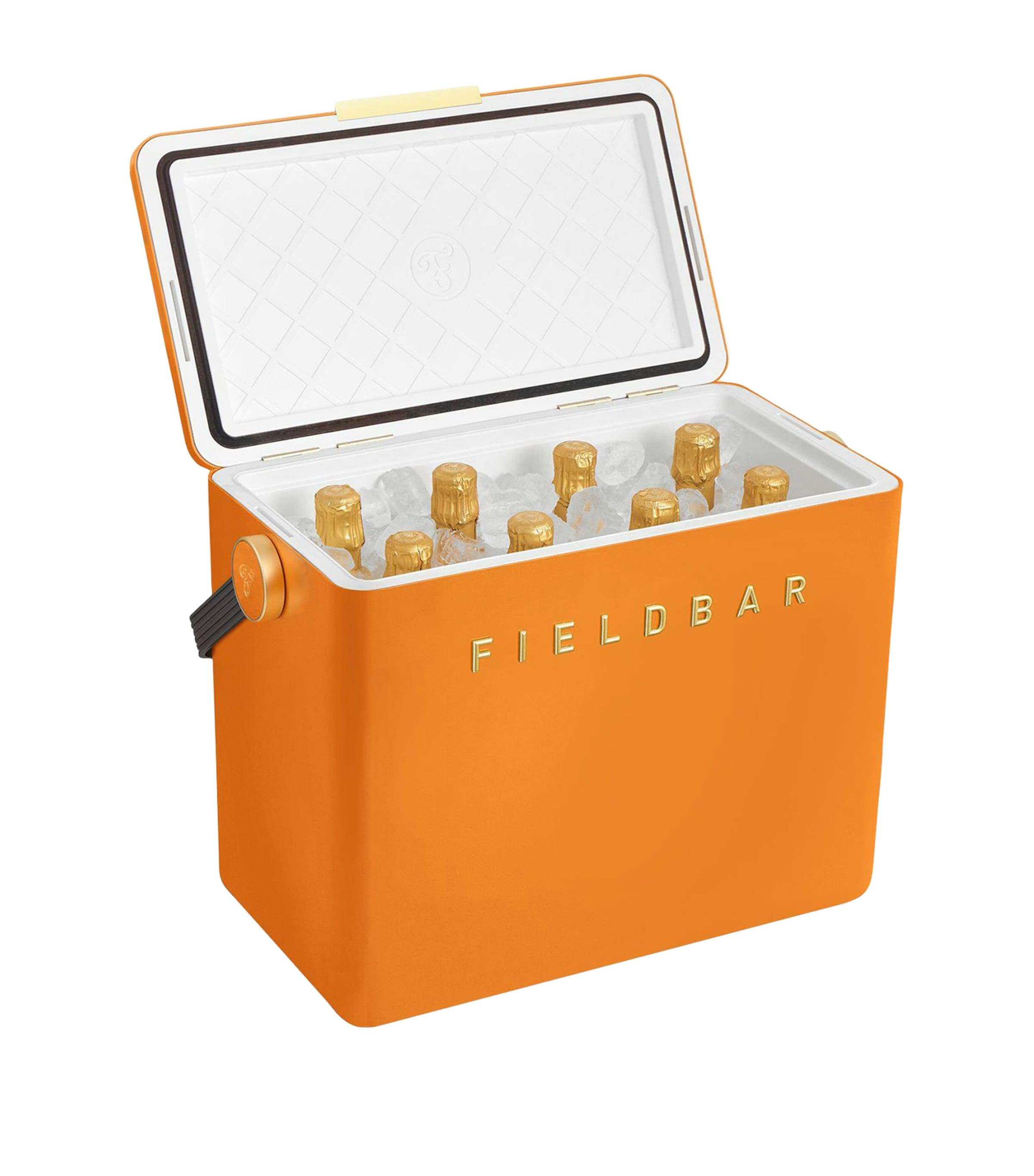 Fieldbar Gin Trunk Cooler Box Orchard Orange Image 2