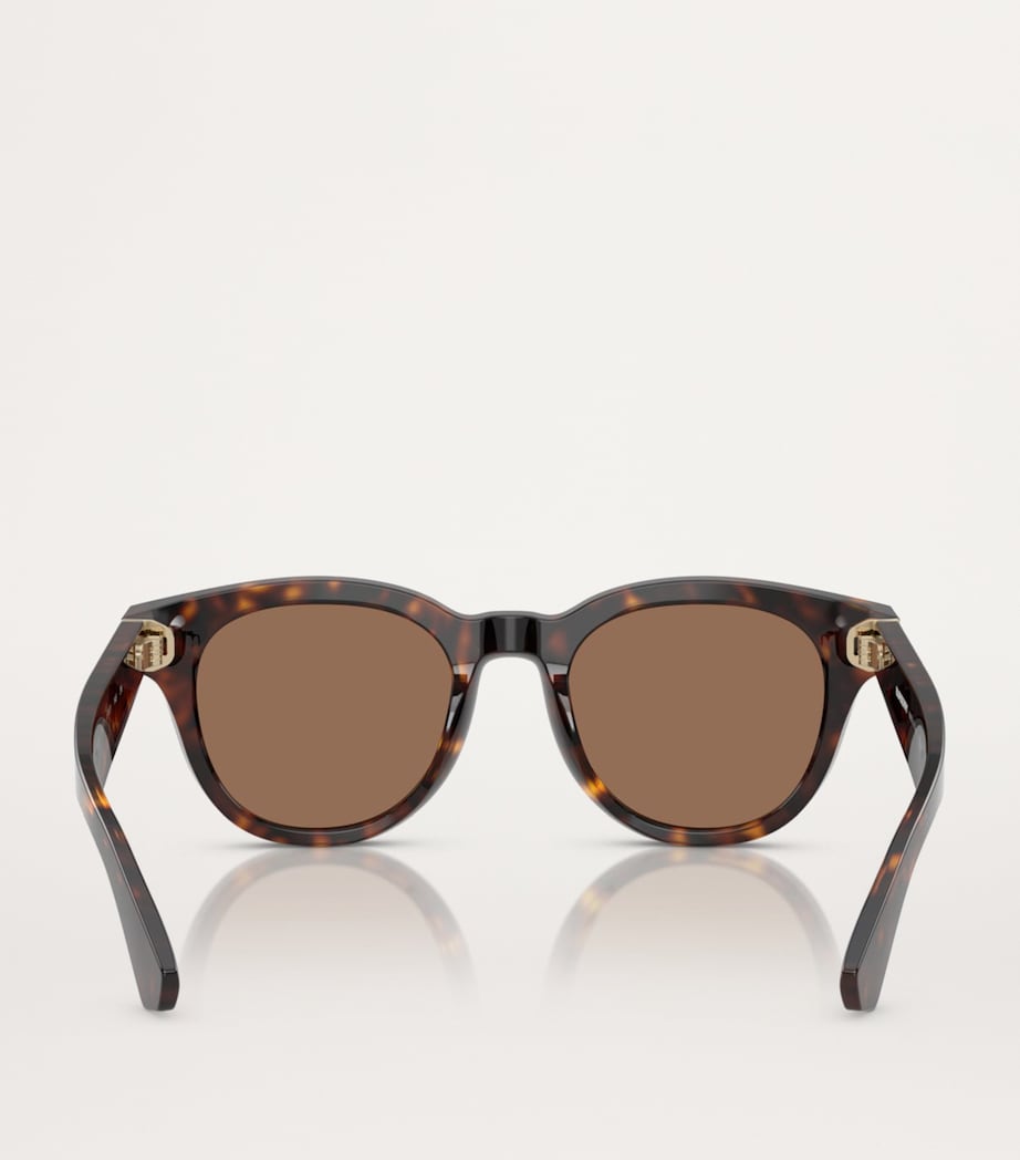 Acetate Round Sunglasses 300273 Image 4