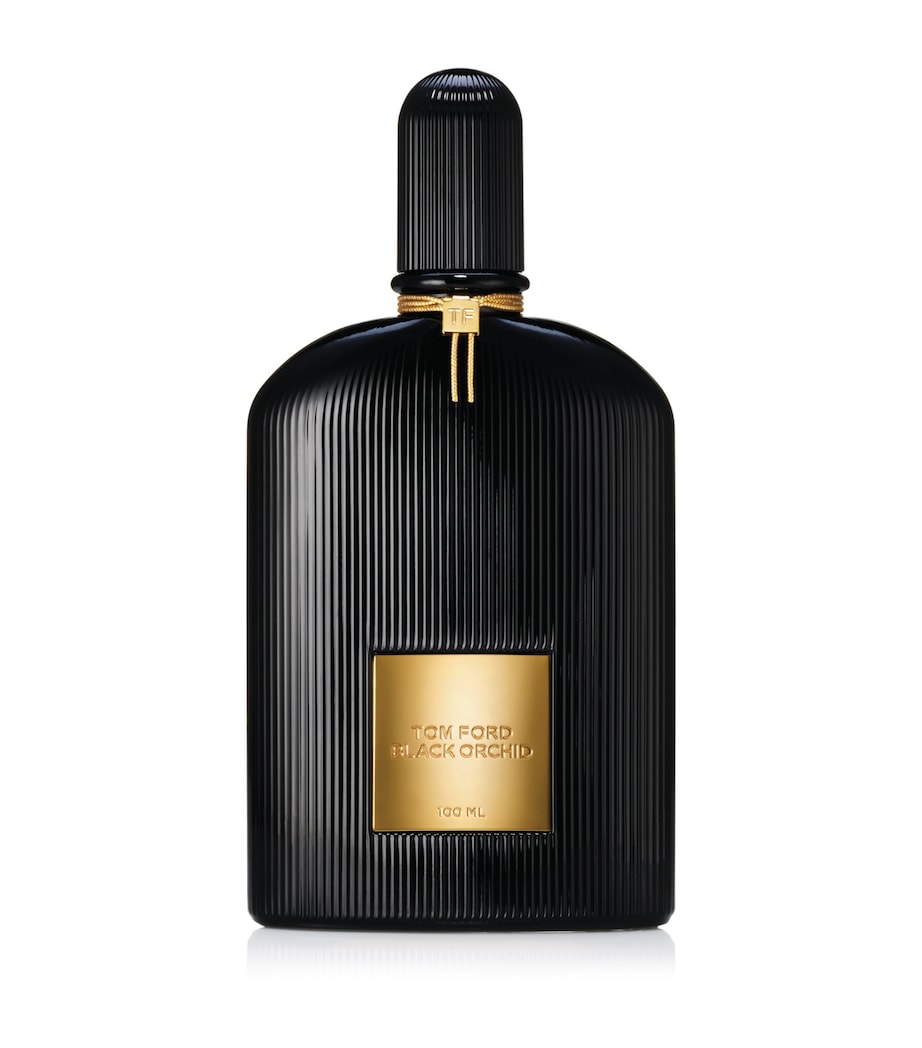 Black Orchid Eau de Parfum (100ml) NO COLOUR Image 1