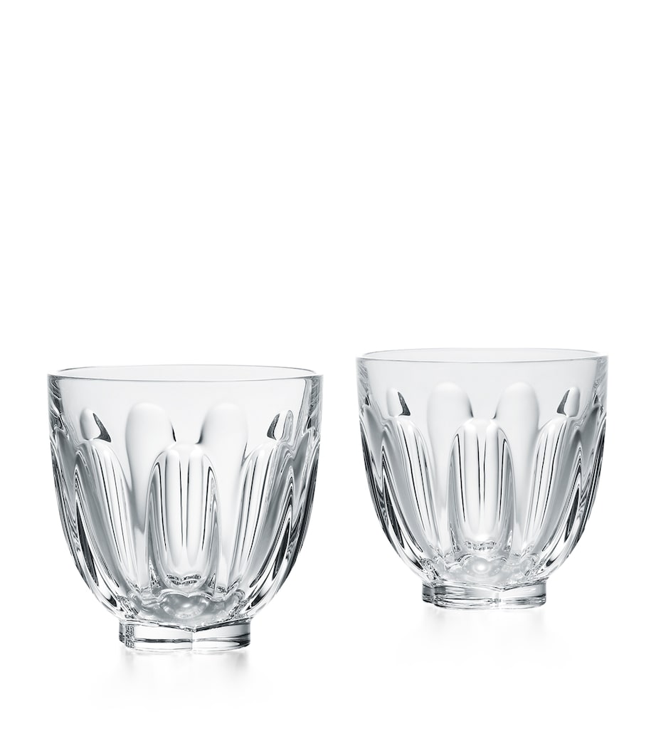 Set of 2 Faunacrystopolis Harcourt Glasses (250ml) CLEAR Image 1