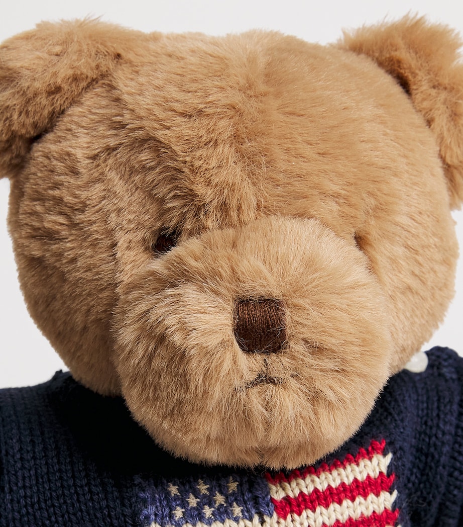 Flag Sweater Polo Bear (19.5cm) BLUE Image 2