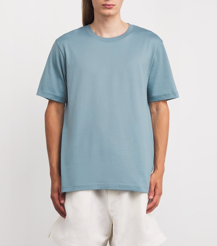 Organic Cotton T-Shirt GREYISH BLUE Image 3