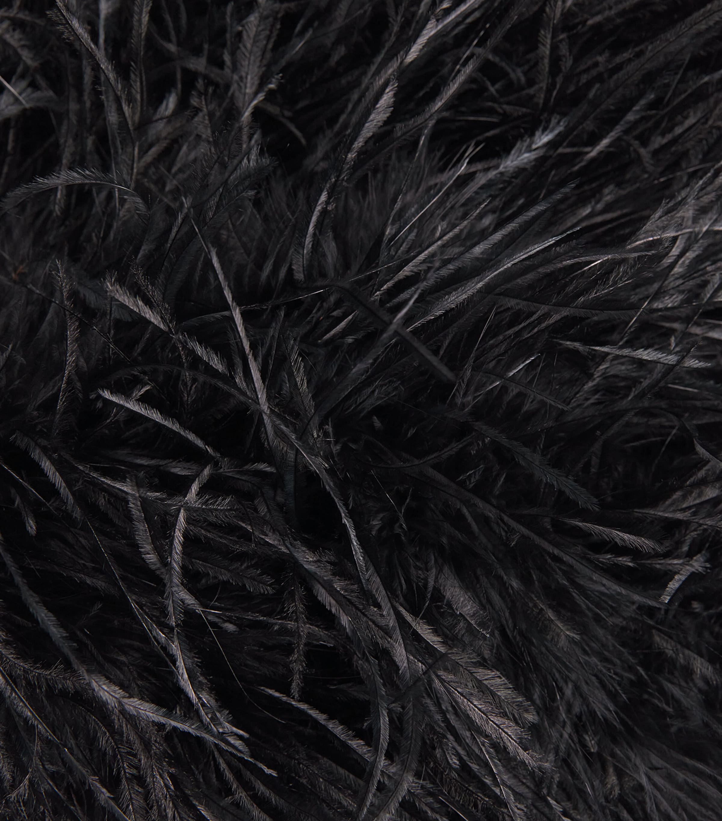 Yves Salomon Womens Ostrich Feather Jacket Image 6