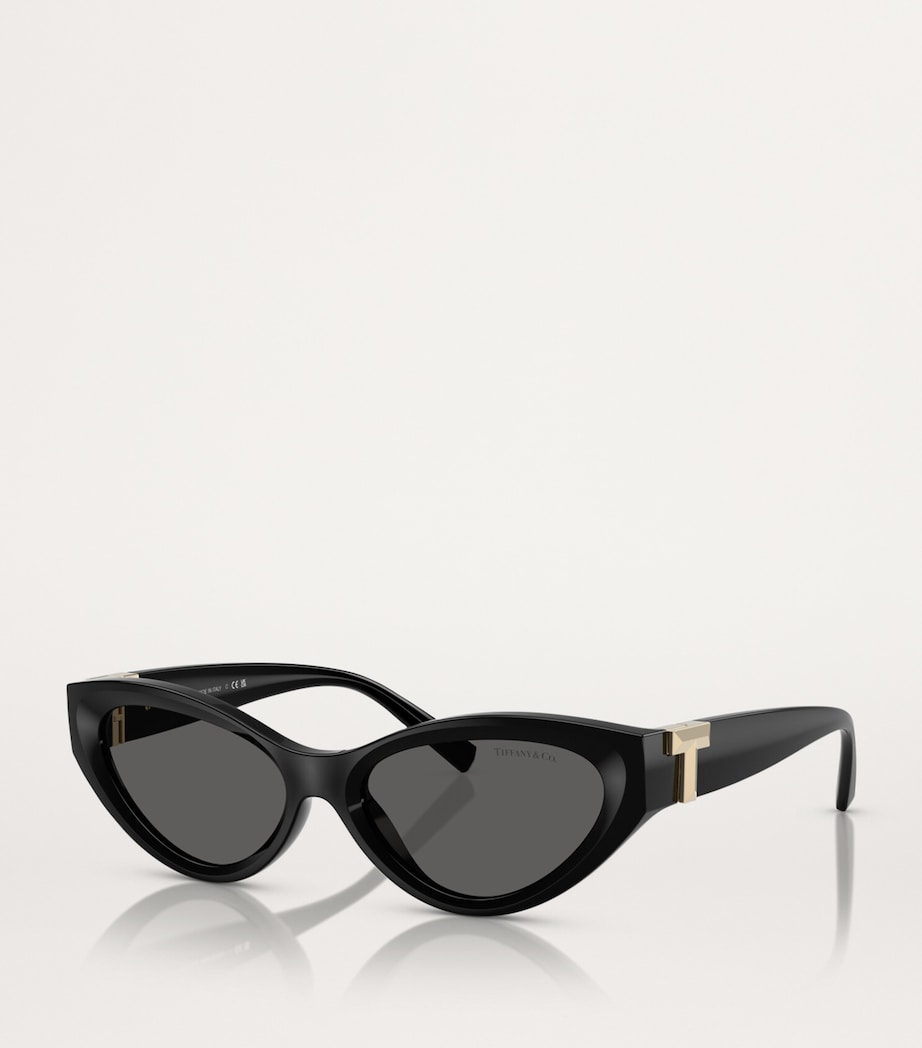 Acetate Cat-Eye Sunglasses 8001S4 Image 2
