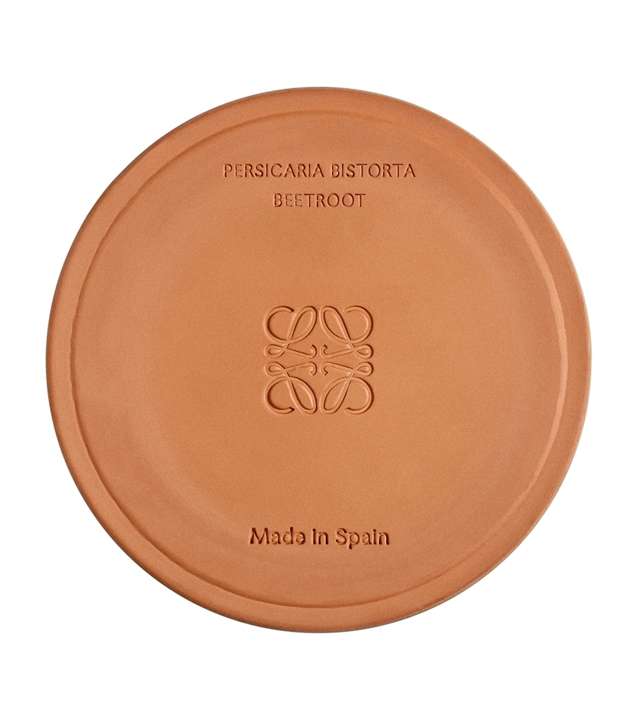 Medium Beetroot Scented Candle NO COLOUR Image 4