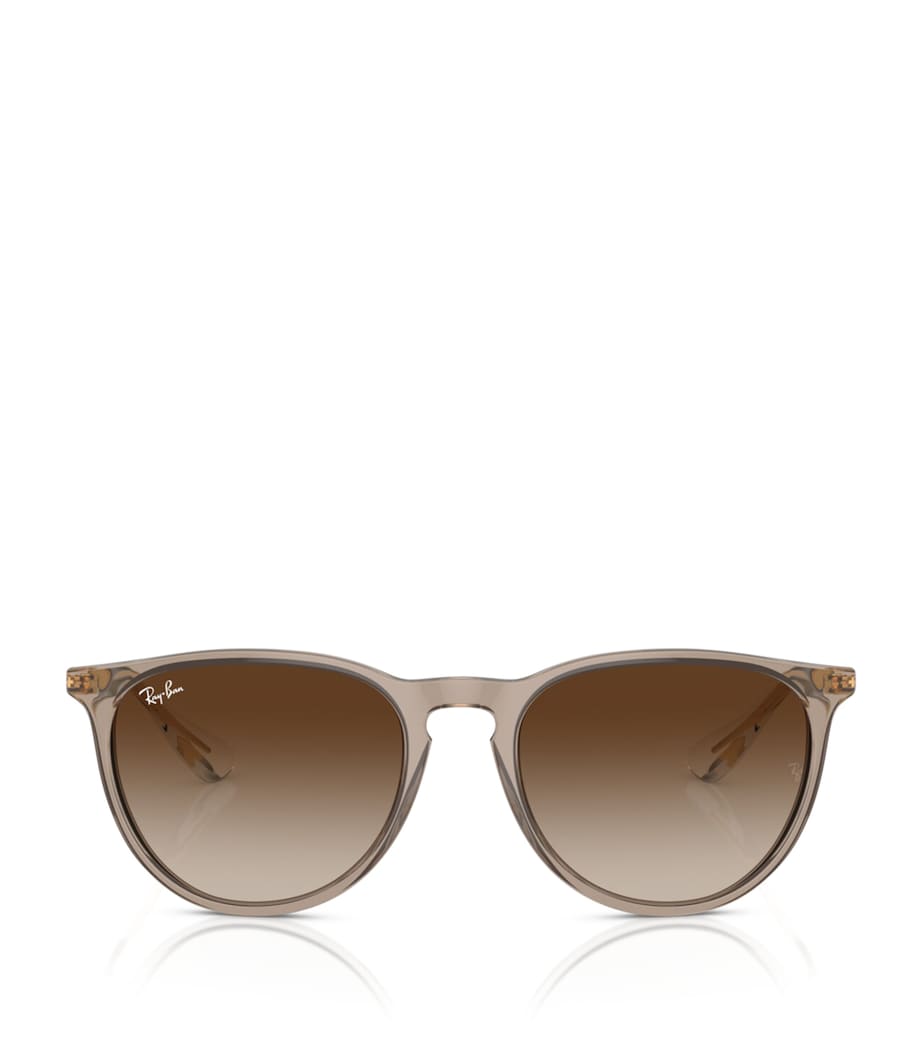 Ray-Ban Erika Classic Phantos Sunglasses Brown Image 1