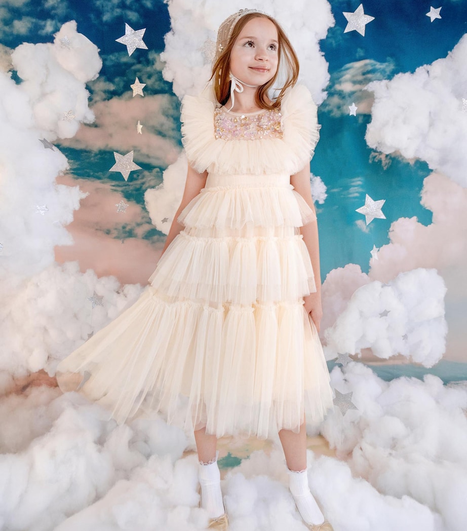 Tulle Embellished Rana Dress (12 Years) LINEN Image 4