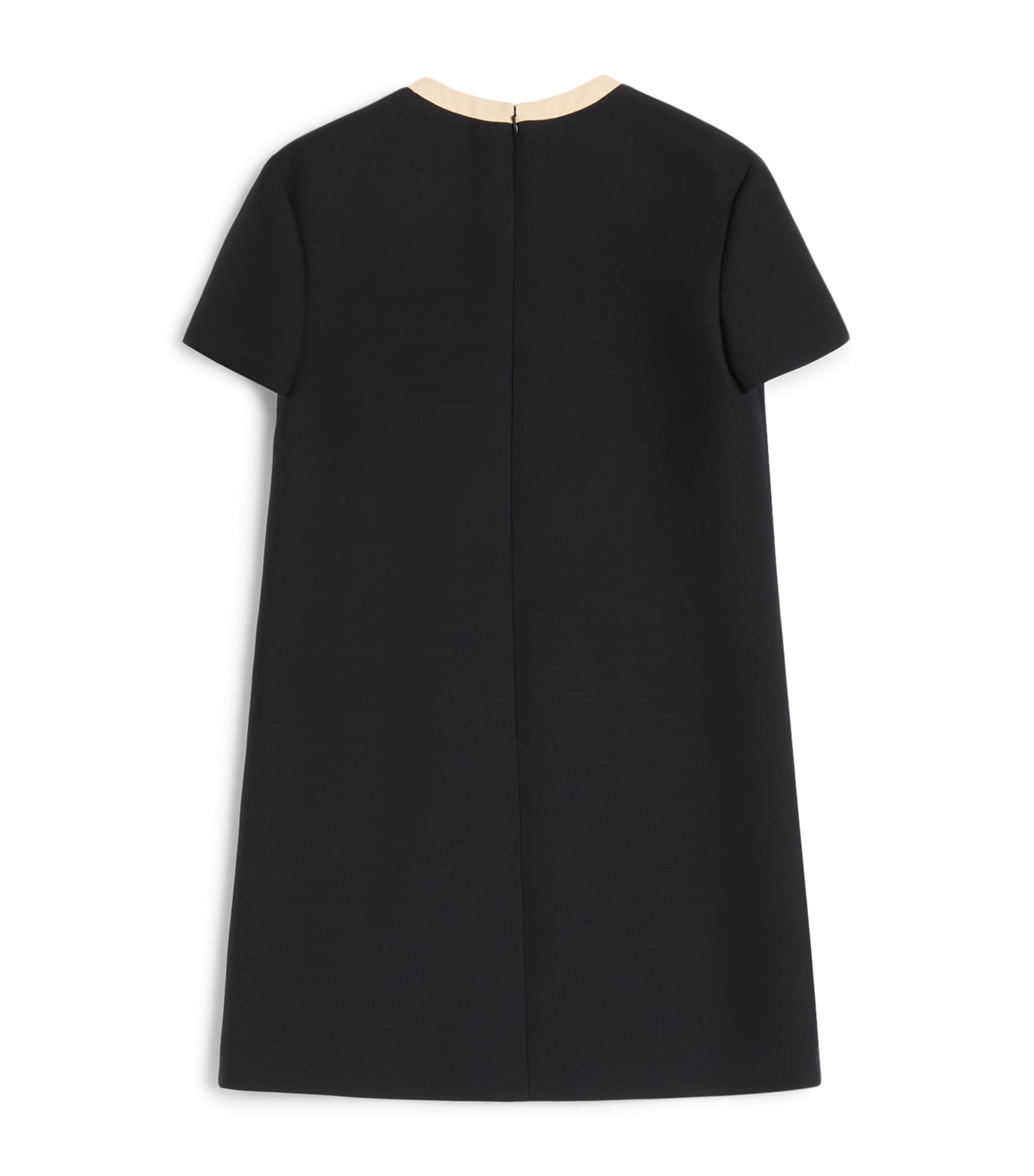 Crepe A-Line Mini Dress TB1 Image 2