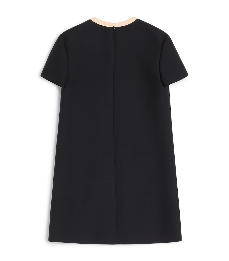 Crepe A-Line Mini Dress TB1 Image 2