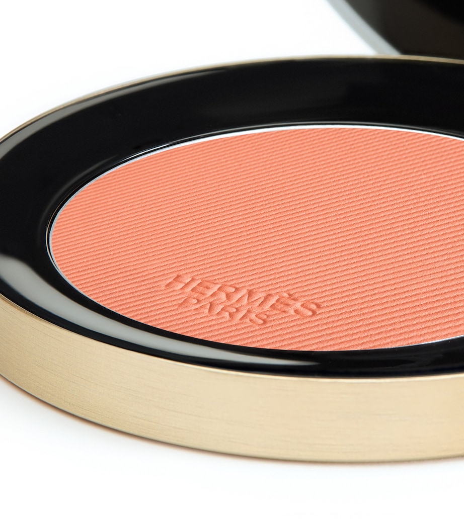 Rose Hermès Silky Blush Powder - 19 Rose Abricoté 19 ROSE ABRICOT Image 7