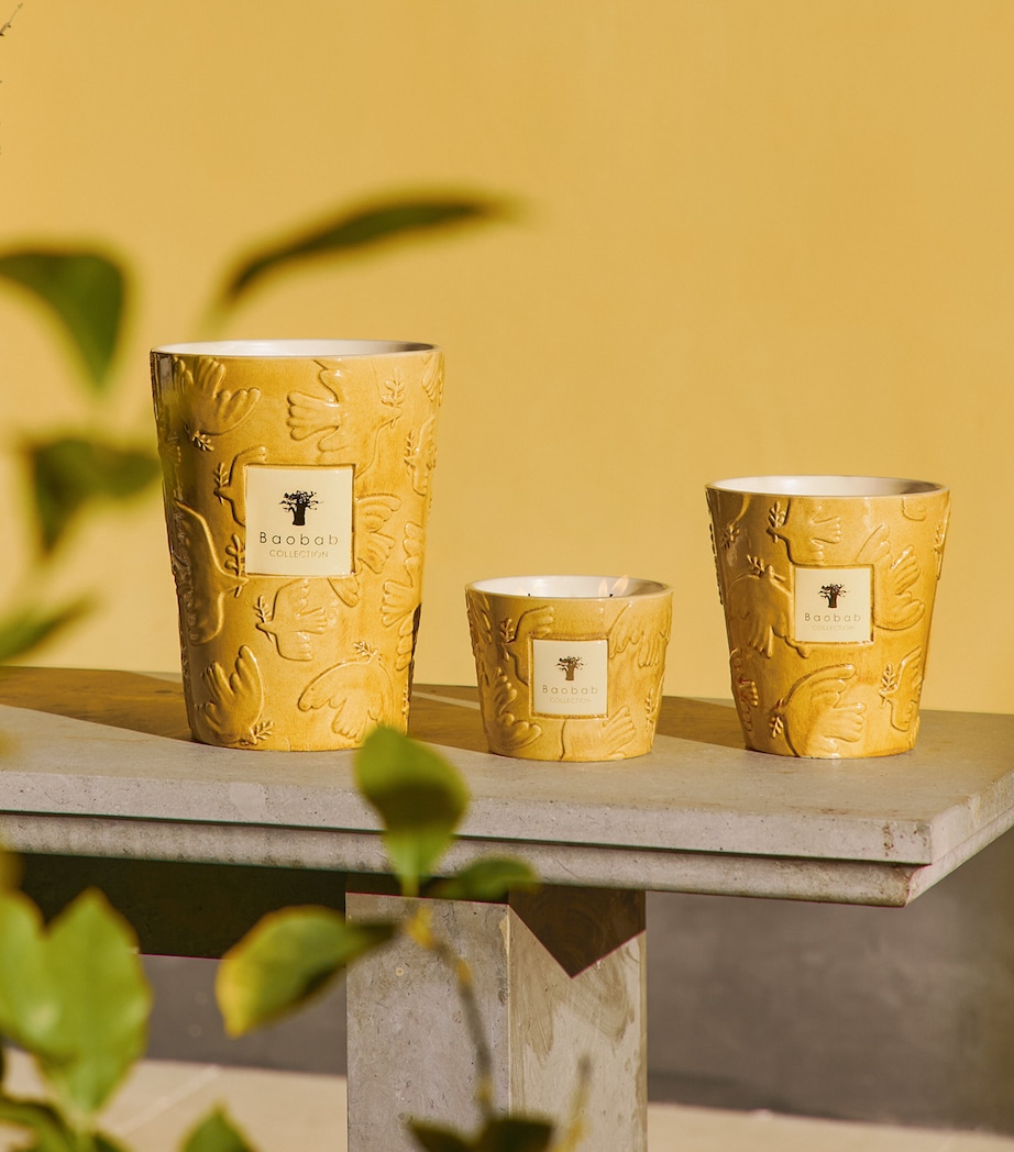 Baobab Collection Dove Scented Candle (6kg) Yellow Image 3