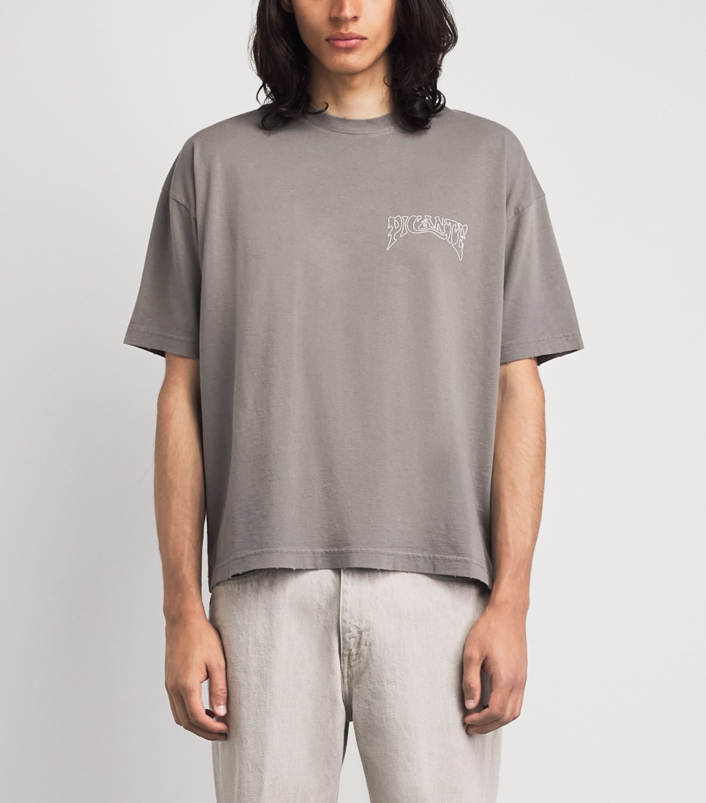 Picante Mens Organic Cotton Sacramento T-Shirt Smoke Image 4
