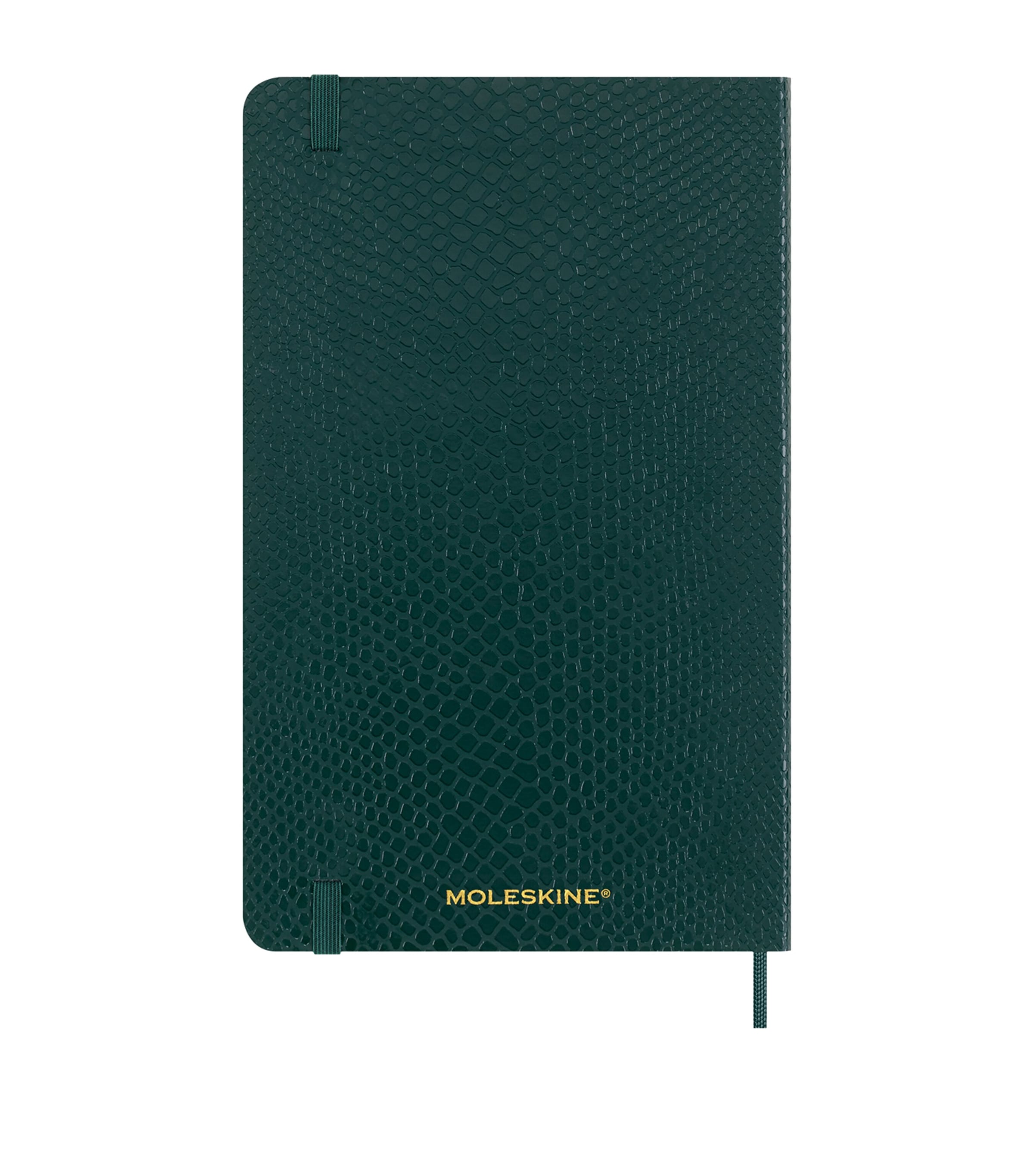 Precious & Ethical Vegan Notebook GREEN Image 5