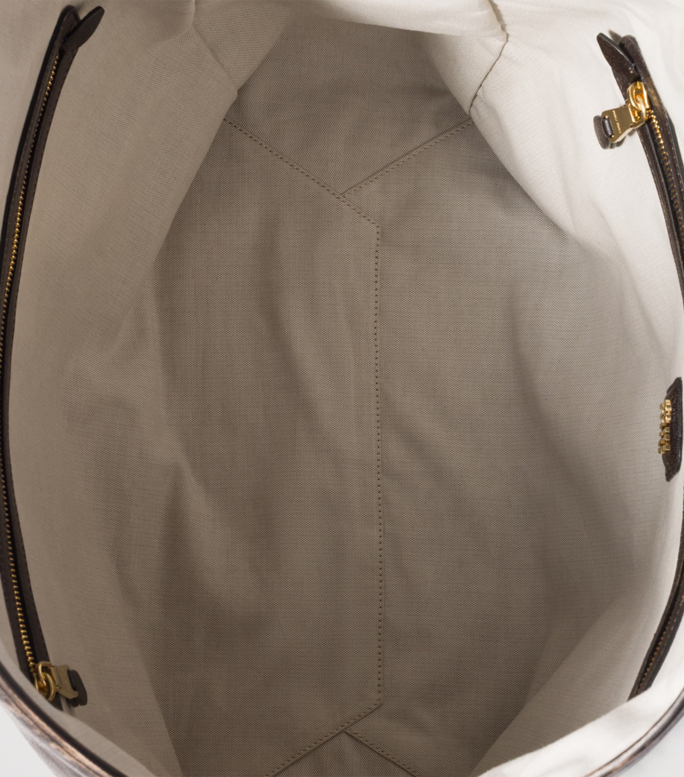 Large Calfskin Ivy Tote Bag F0201 Image 6