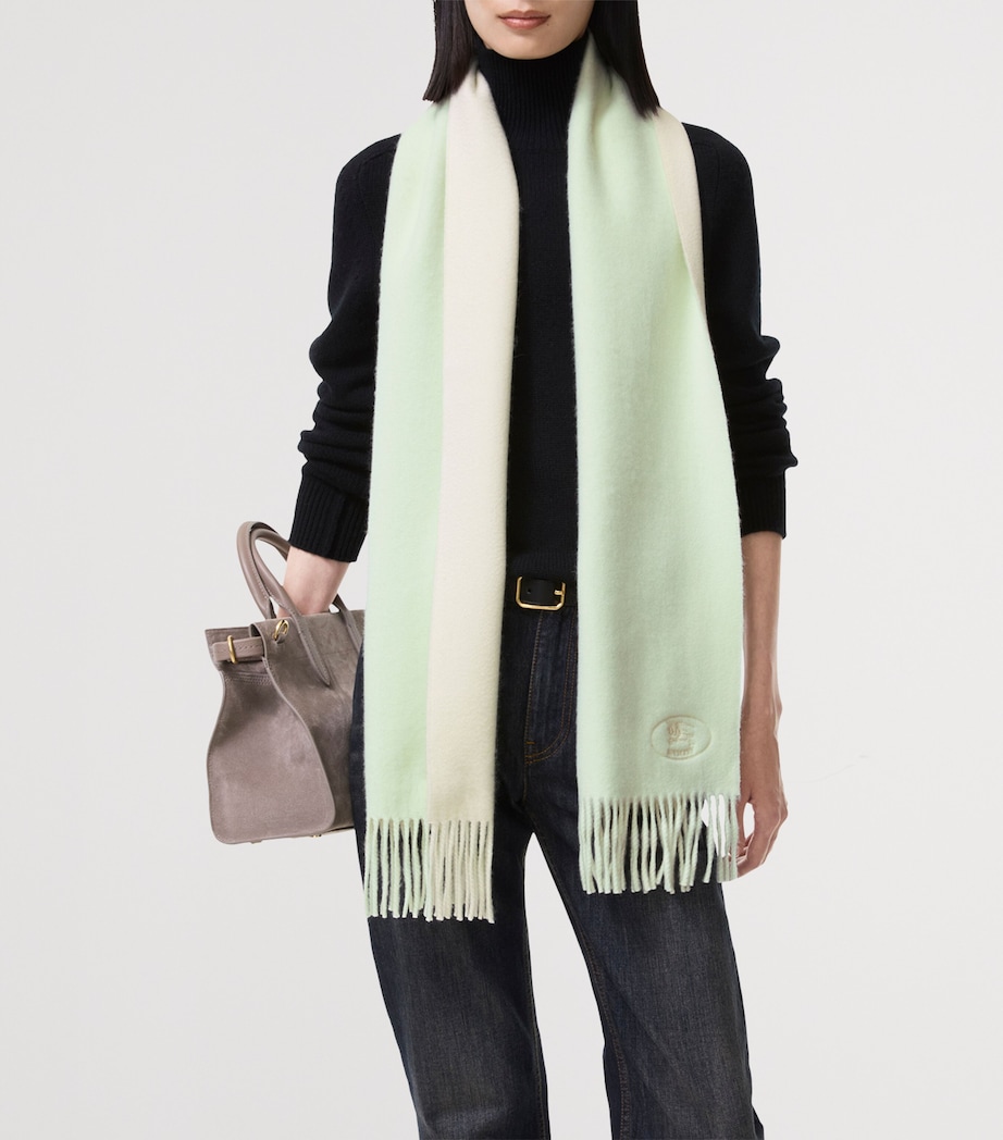 Burberry Cashmere Reversible Knight Scarf Mint/pebble Image 3