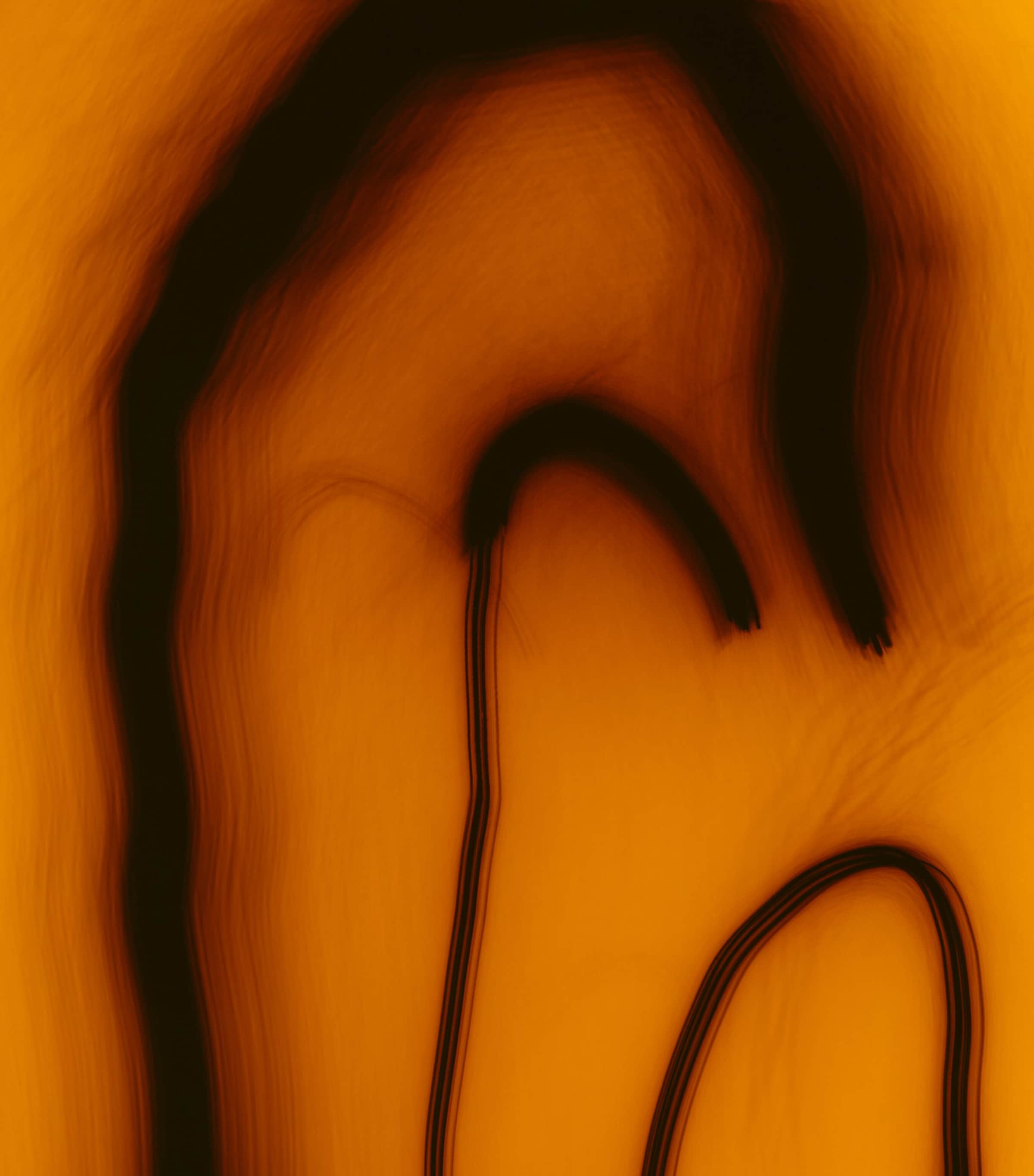 Vanille Antique Extrait de Parfum (70ml) NO COLOUR Image 4