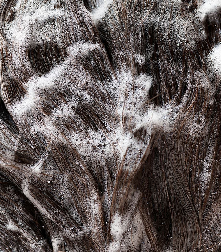 Signature Travel Size Shampoo (75ml) NO COLOUR Image 4